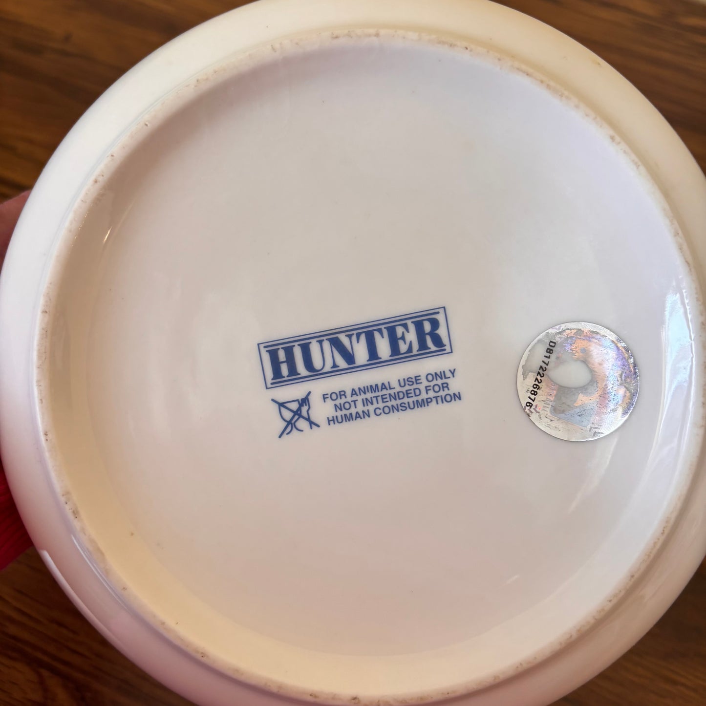Vintage 2004 Toronto Blue Jays Ceramic Dog Bowl - Hunter MLBP Design