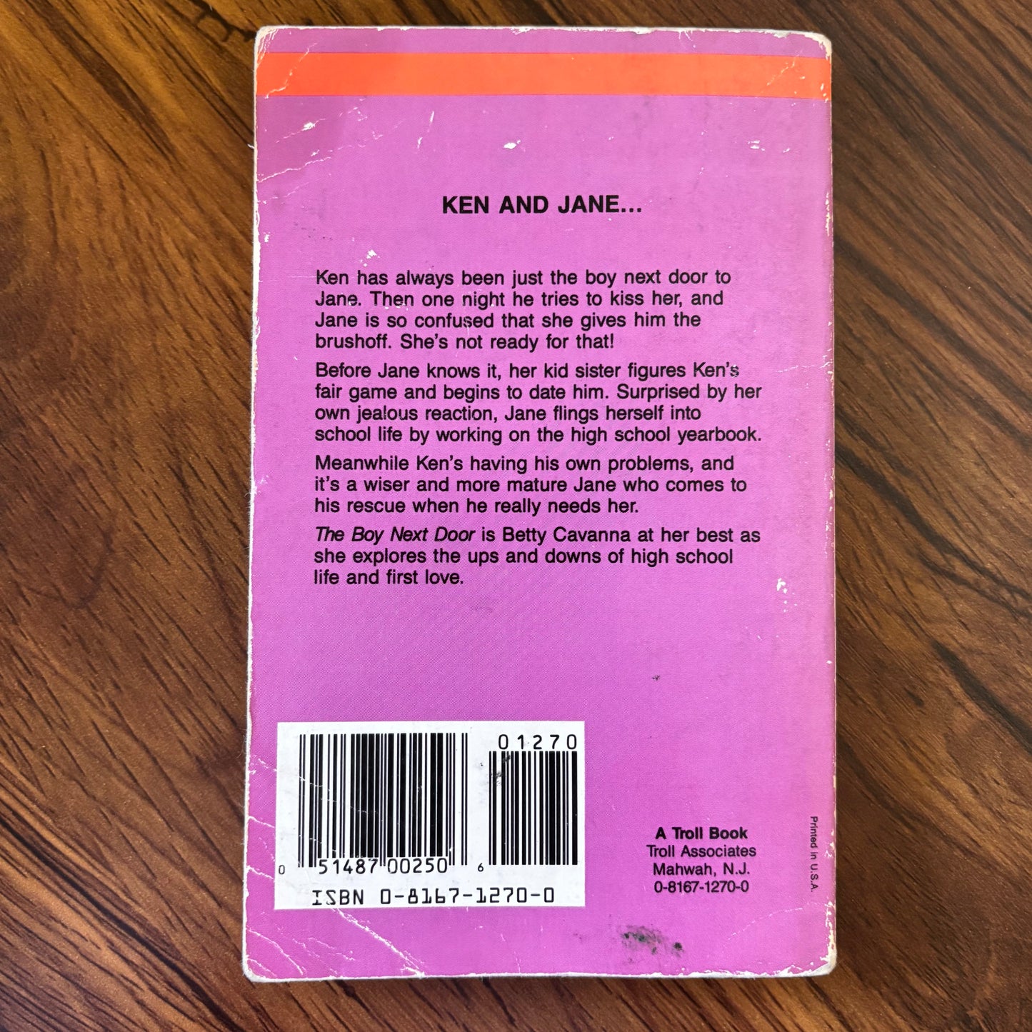 The Boy Next Door Betty Cavanna 1988 Troll Vintage YA Paperback