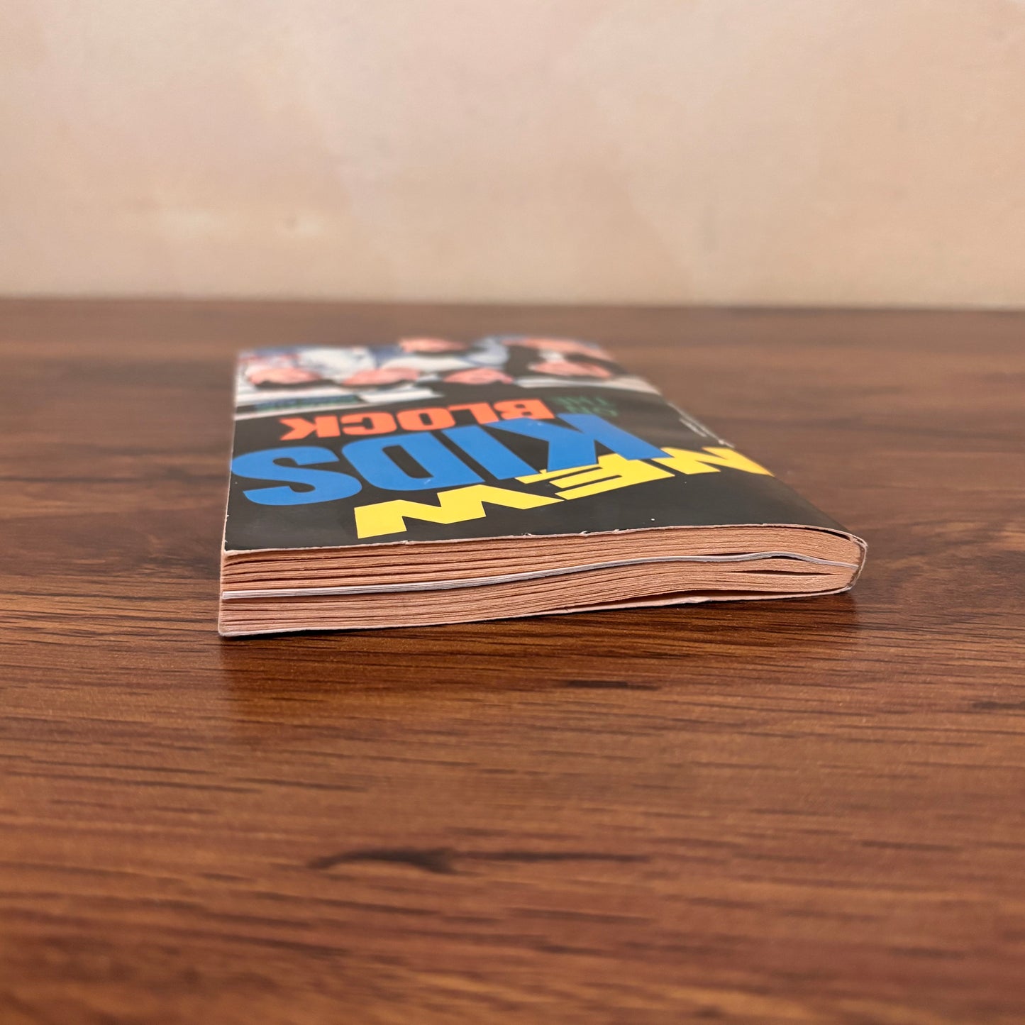 New Kids on the Block by Grace Catalano (1989) Bantam YA Biography Paperback