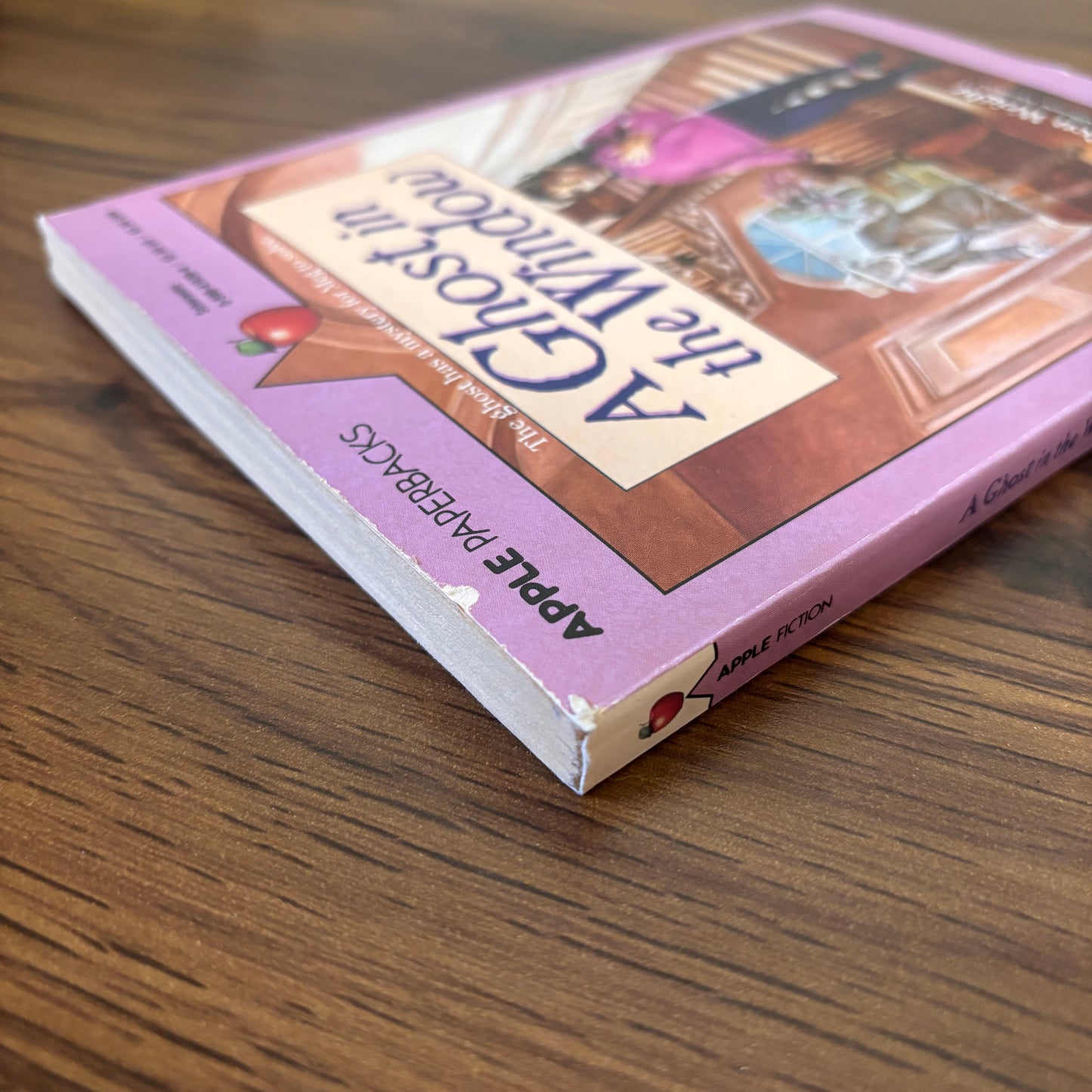 A Ghost in the Window by Betty Ren Wright (1988 Apple Paperback – Scholastic)