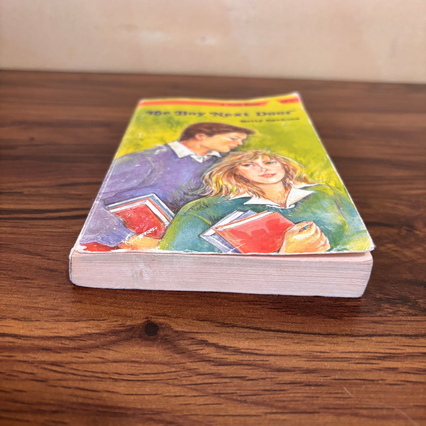 The Boy Next Door Betty Cavanna 1988 Troll Vintage YA Paperback
