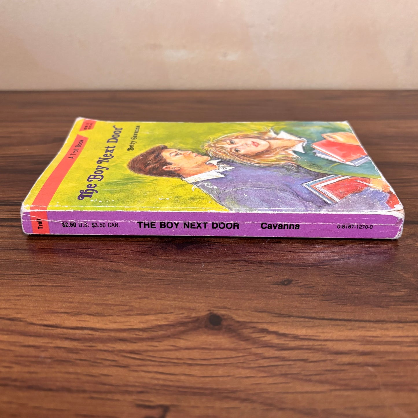 The Boy Next Door Betty Cavanna 1988 Troll Vintage YA Paperback