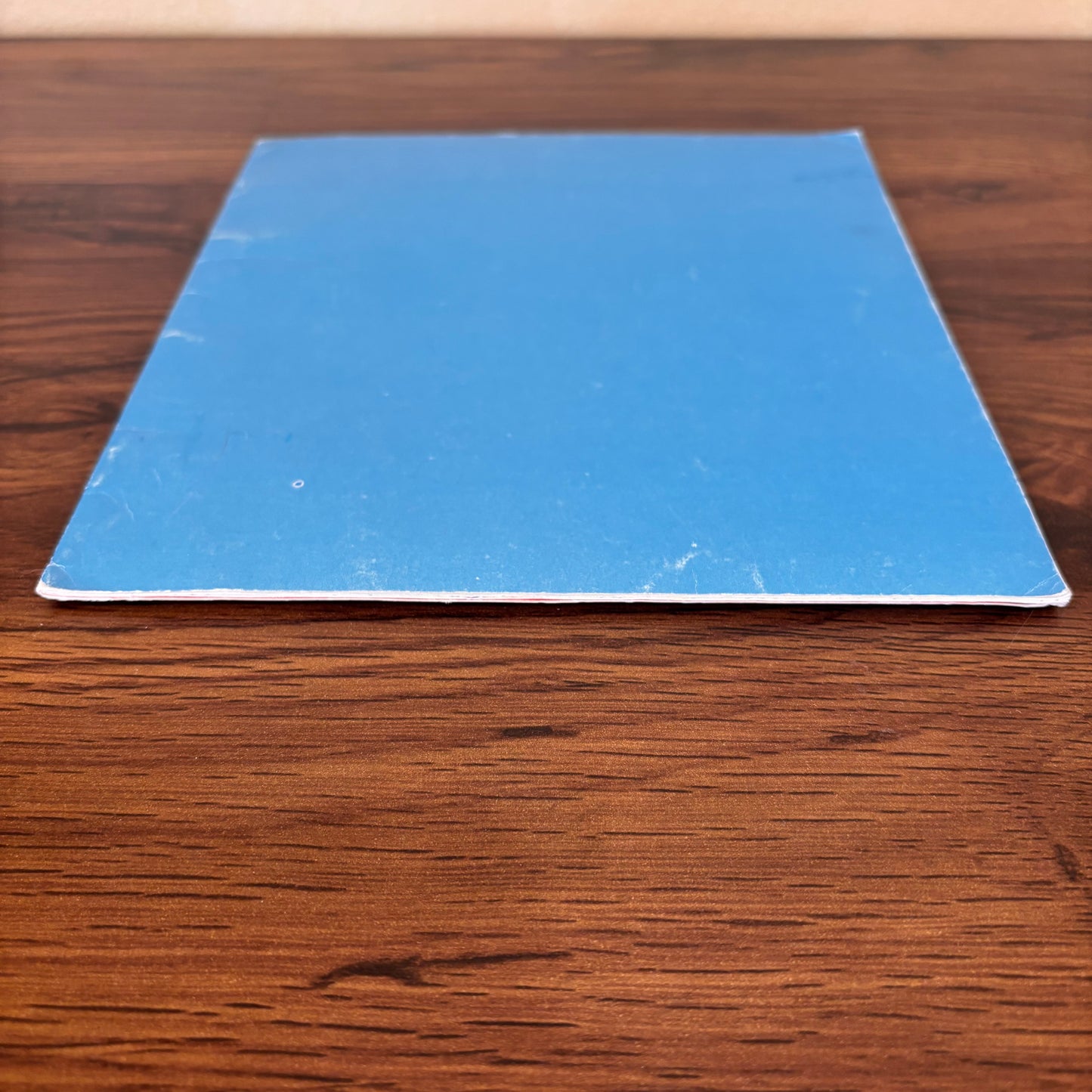 Pound Puppies The Puppy Nobody Wanted 1986 Softcover by AC Chandler Illustrated by Pat Paris