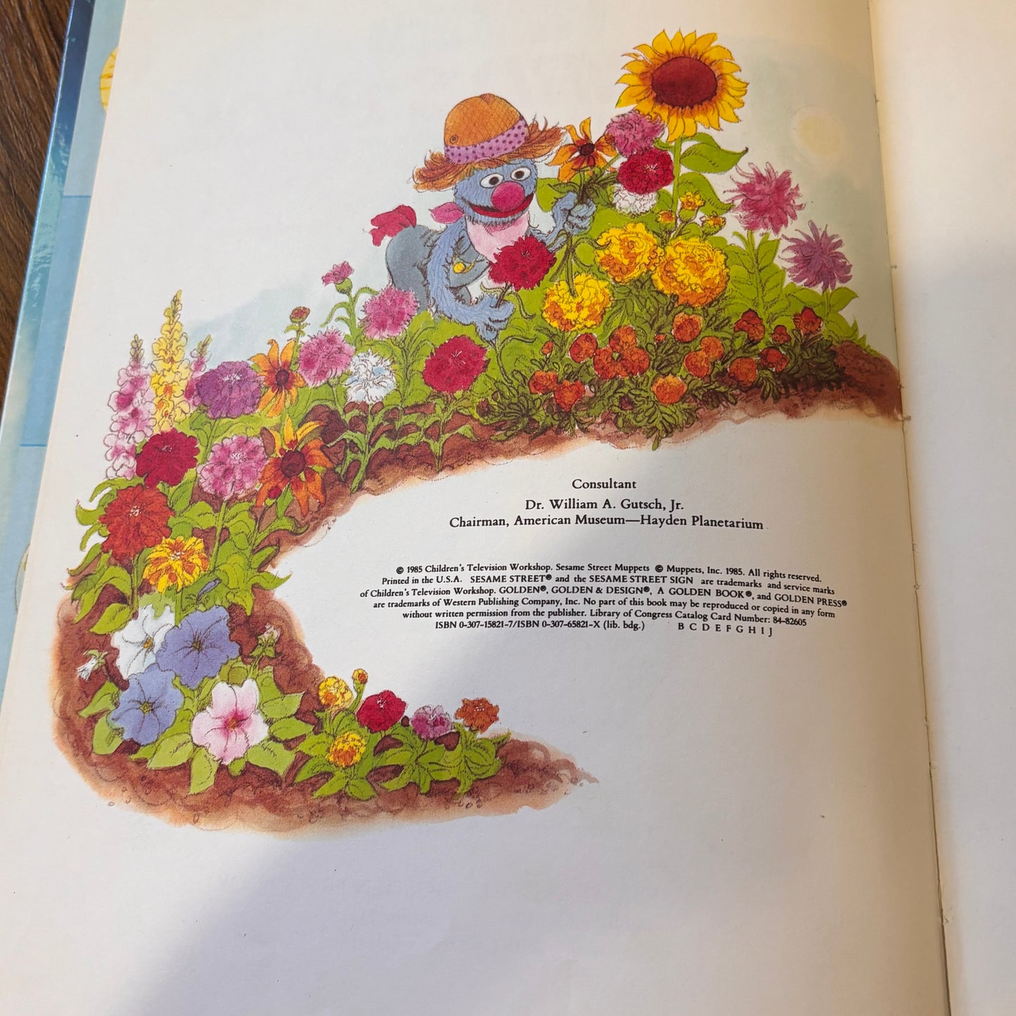 Big Bird’s Book About the Earth and Sky - 1985 Sesame Street Muppets Hardcover