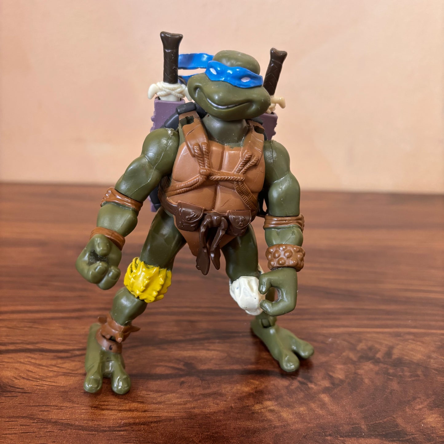 Teenage Mutant Ninja Turtles Paleo Patrol Leo 2005 - Leonardo Jurassic Age TMNT