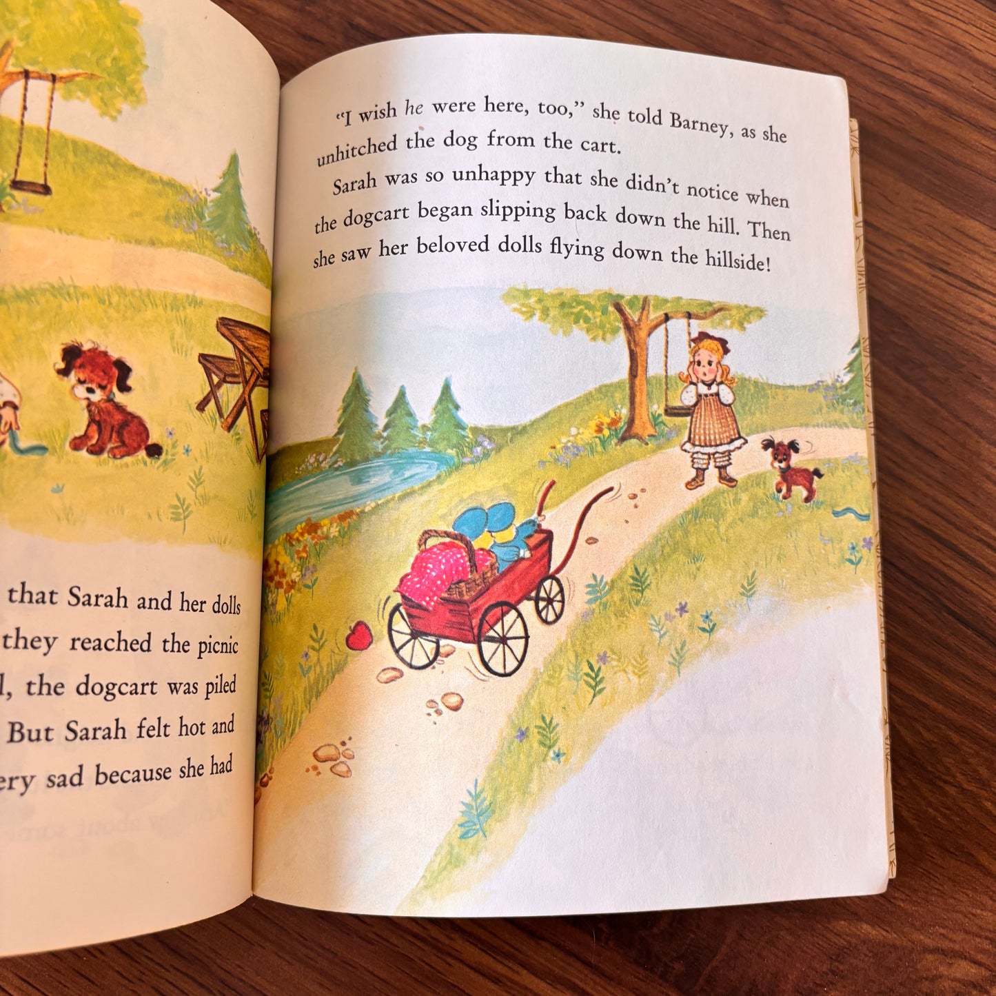 The Ginghams: The Backward Picnic by Joan Chase Bowden (1976) | Little Golden Book