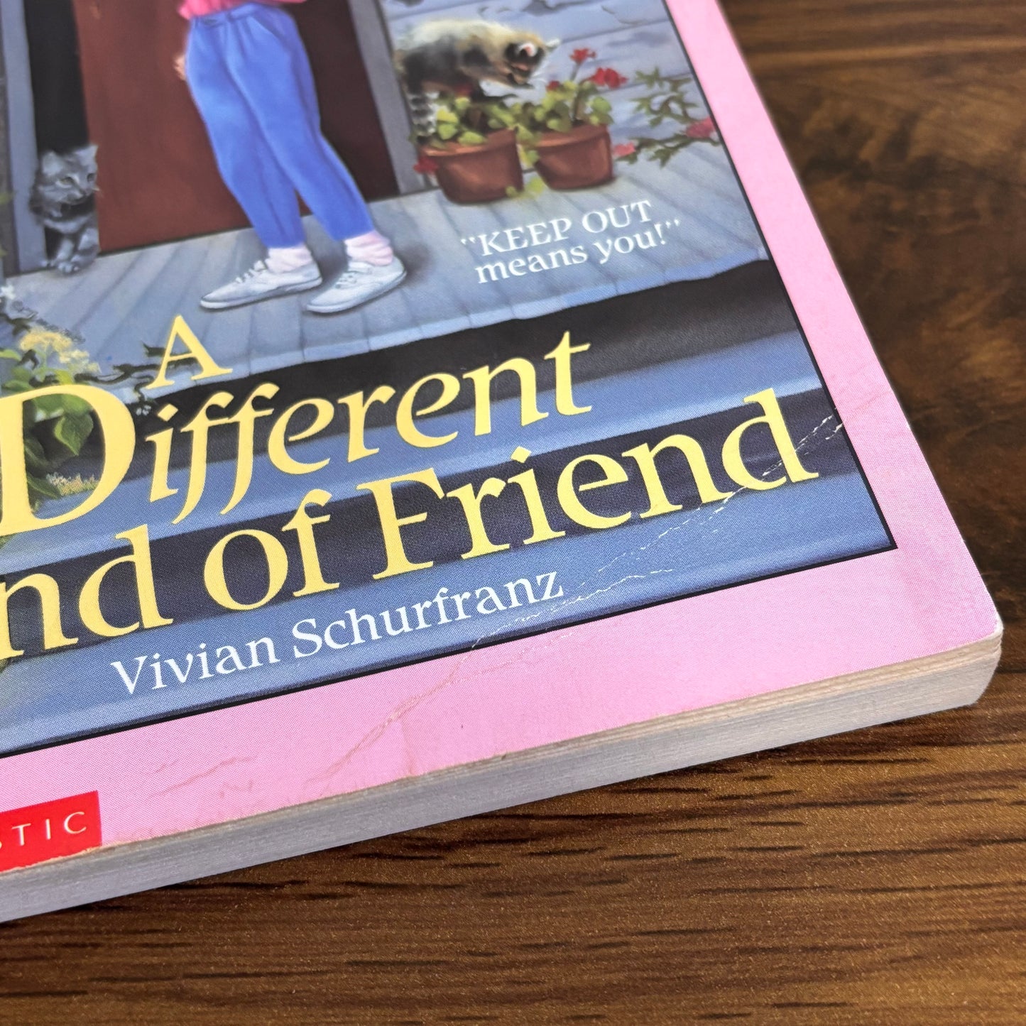 A Different Kind of Friend by Vivian Schurfranz (1990 Apple Paperback – Scholastic)