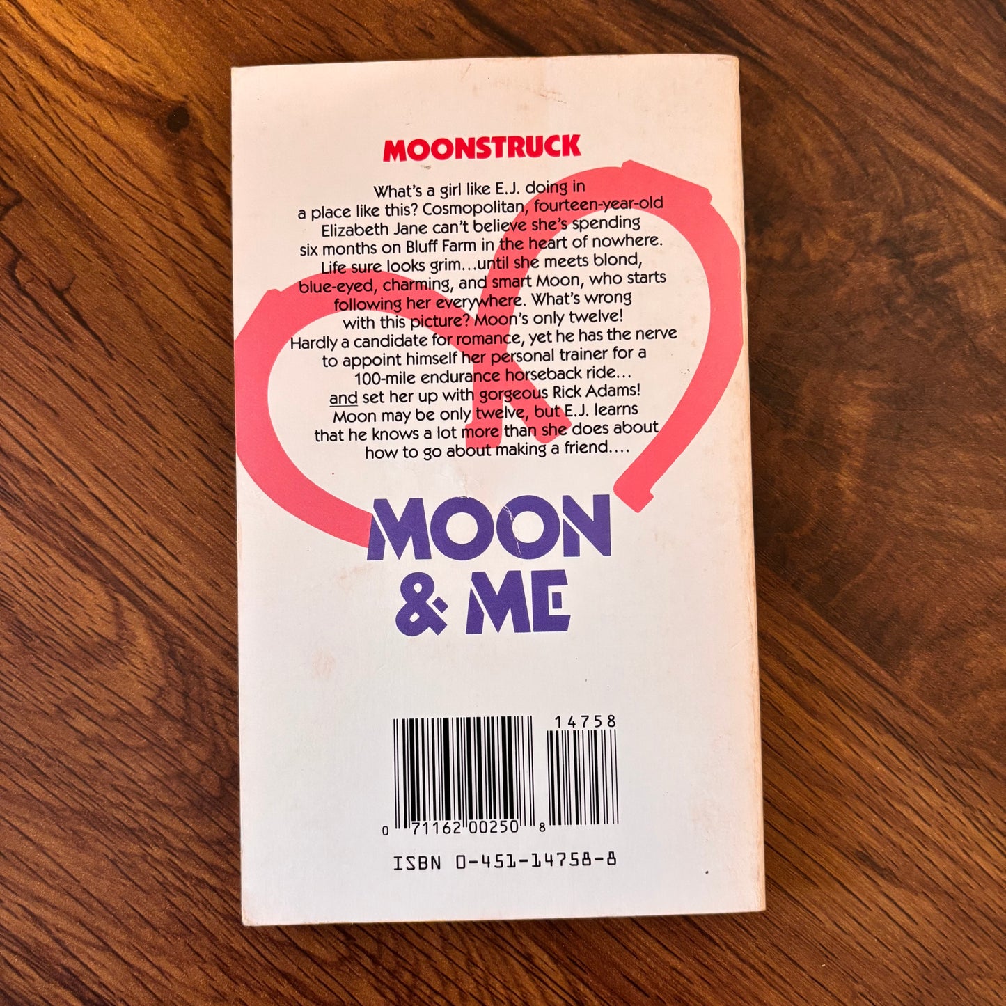 Moon & Me by Hadley Irwin - 1987 First Signet Vista YA Paperback