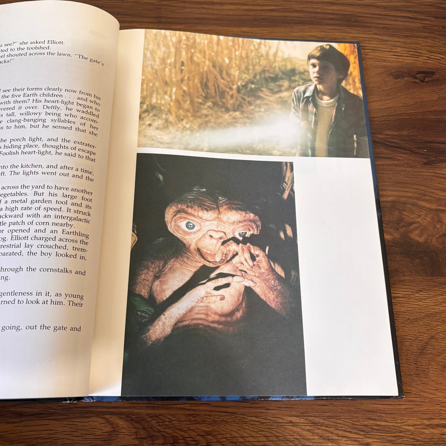 E.T. The Extra-Terrestrial Storybook by William Kotzwinkle - 1982 Hardcover