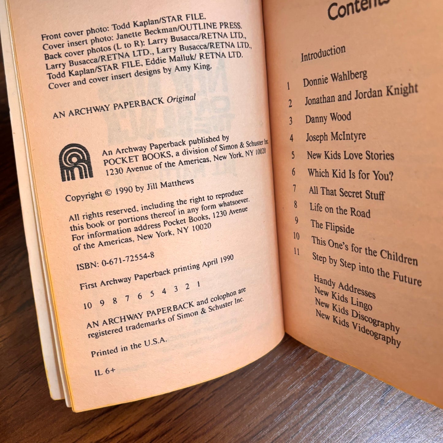 The Lives and Loves of New Kids On the Block Jill Matthews 1990 Paperback