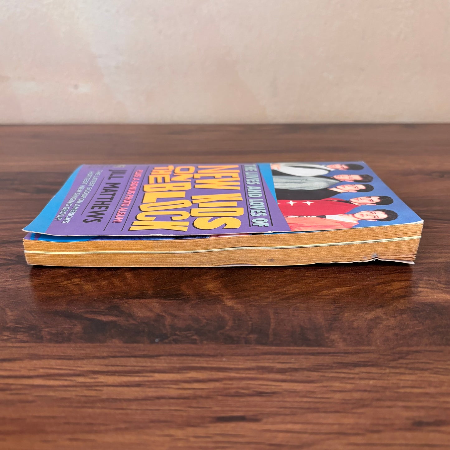 The Lives and Loves of New Kids On the Block Jill Matthews 1990 Paperback