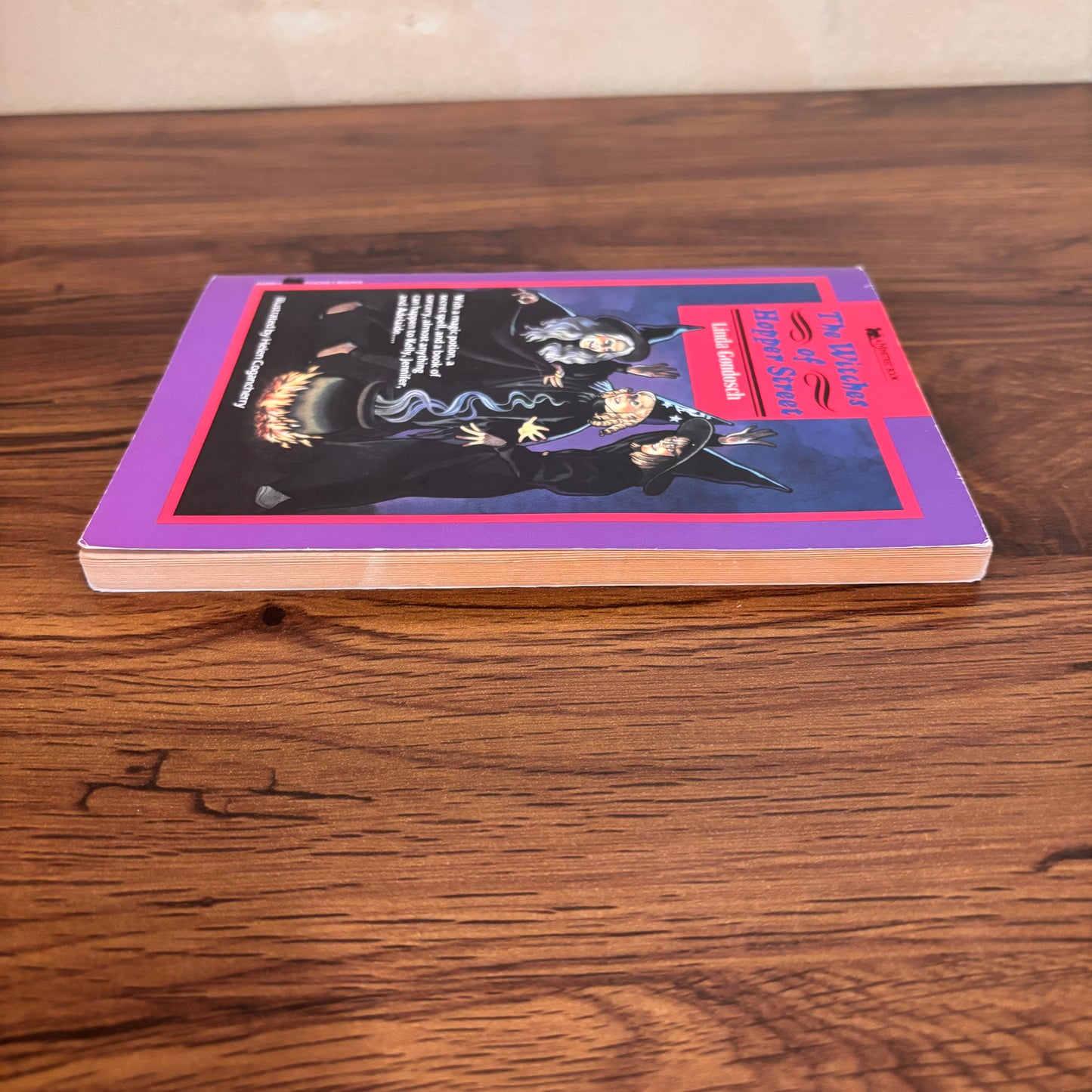 The Witches of Hopper Street by Linda Gondosch (1988) Minstrel Halloween Chapter Book