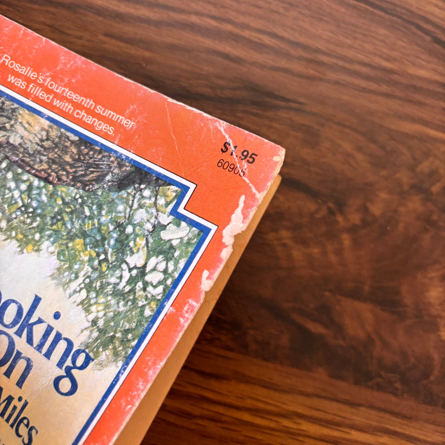 Looking On - Betty Miles - 1979 Avon Camelot Paperback