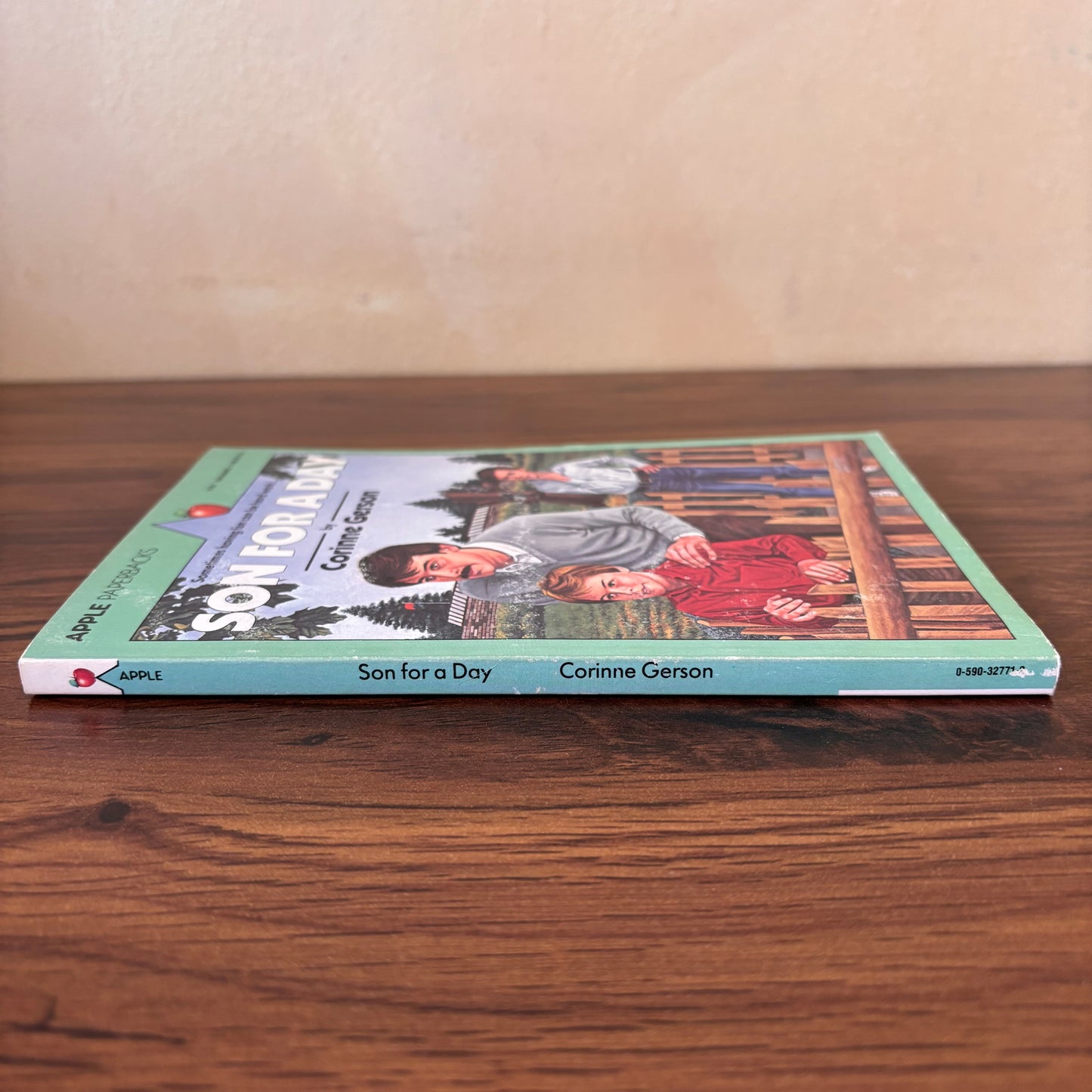 Son for a Day Corinne Gerson, Illustrated Velma Ilsley, 1980 Apple Paperback