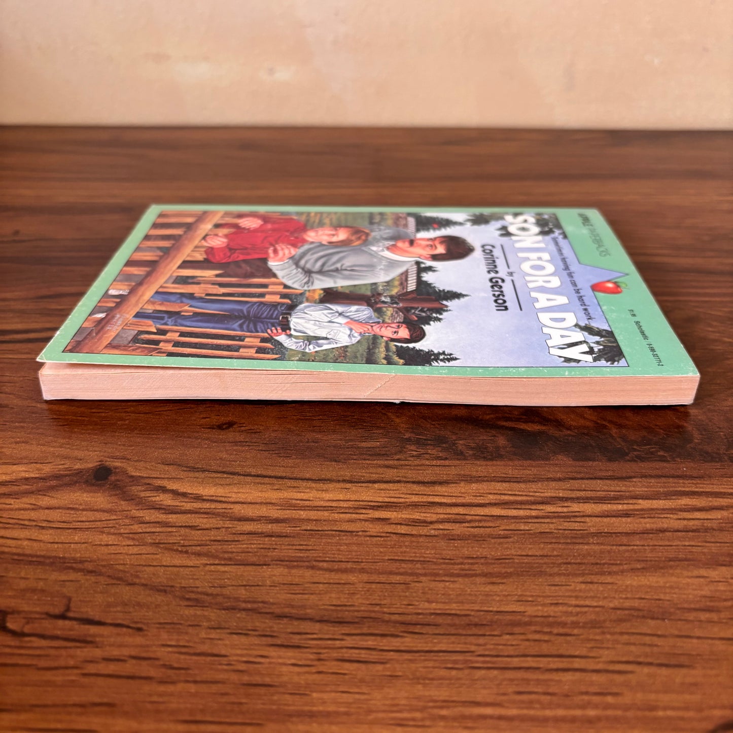 Son for a Day Corinne Gerson, Illustrated Velma Ilsley, 1980 Apple Paperback