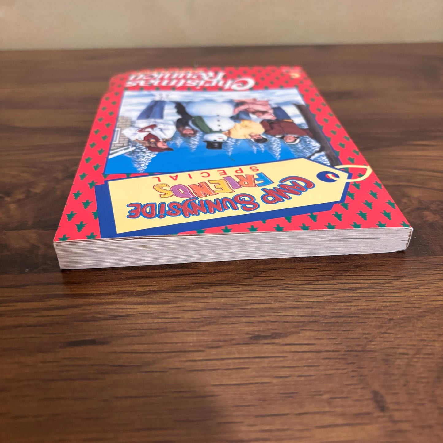 Camp Sunnyside Friends Special Christmas Reunion Marilyn Kaye 1990 Avon Camelot Paperback