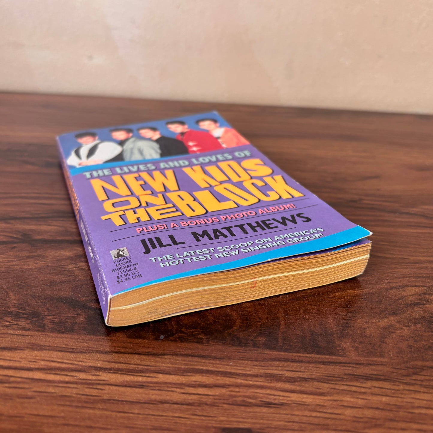 The Lives and Loves of New Kids On the Block Jill Matthews 1990 Paperback