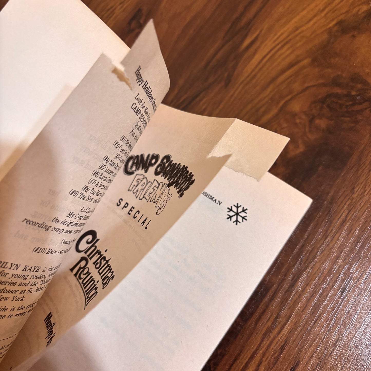 Camp Sunnyside Friends Special Christmas Reunion Marilyn Kaye 1990 Avon Camelot Paperback