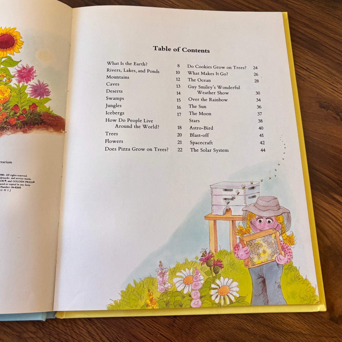 Big Bird’s Book About the Earth and Sky - 1985 Sesame Street Muppets Hardcover