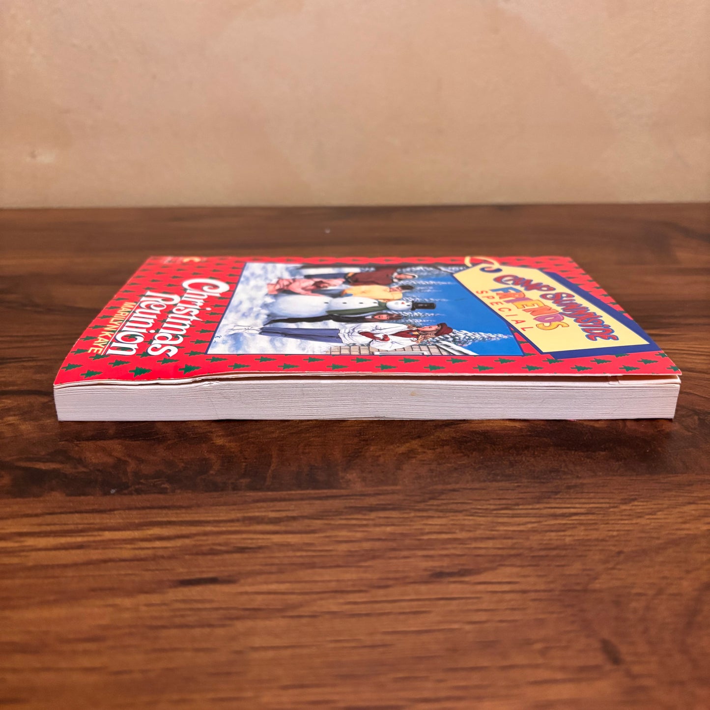 Camp Sunnyside Friends Special Christmas Reunion Marilyn Kaye 1990 Avon Camelot Paperback