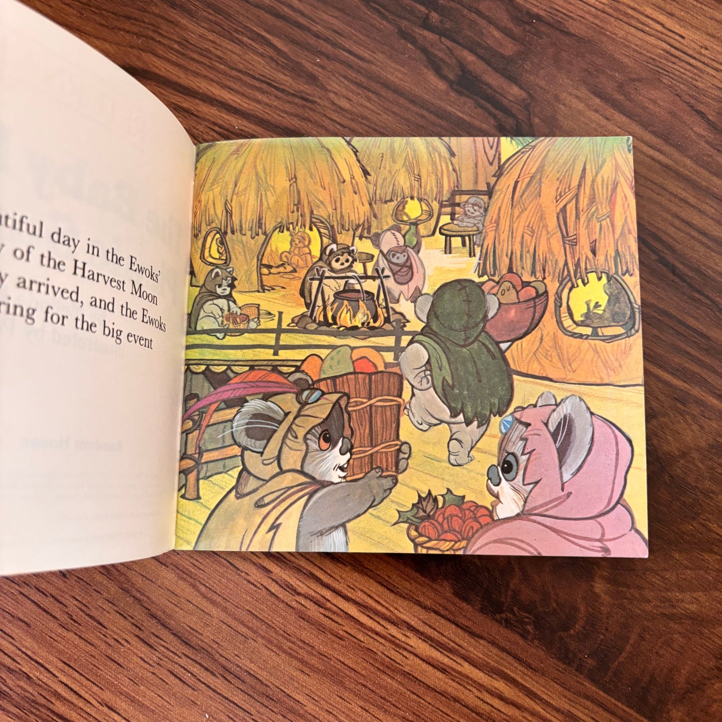 The Baby Ewoks Picnic Surprise Mini Book (1984) | Star Wars Return of the Jedi