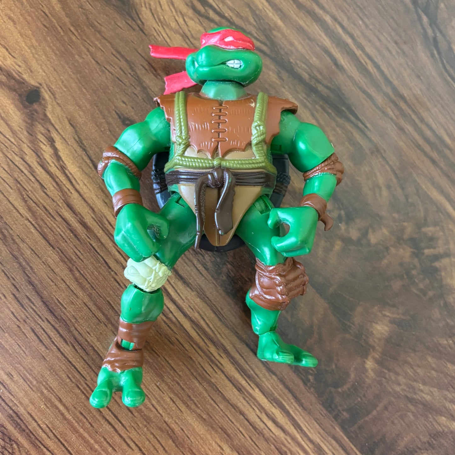 Teenage Mutant Ninja Turtles Paleo Patrol Raph 2005 - Raphael Jurassic Age TMNT