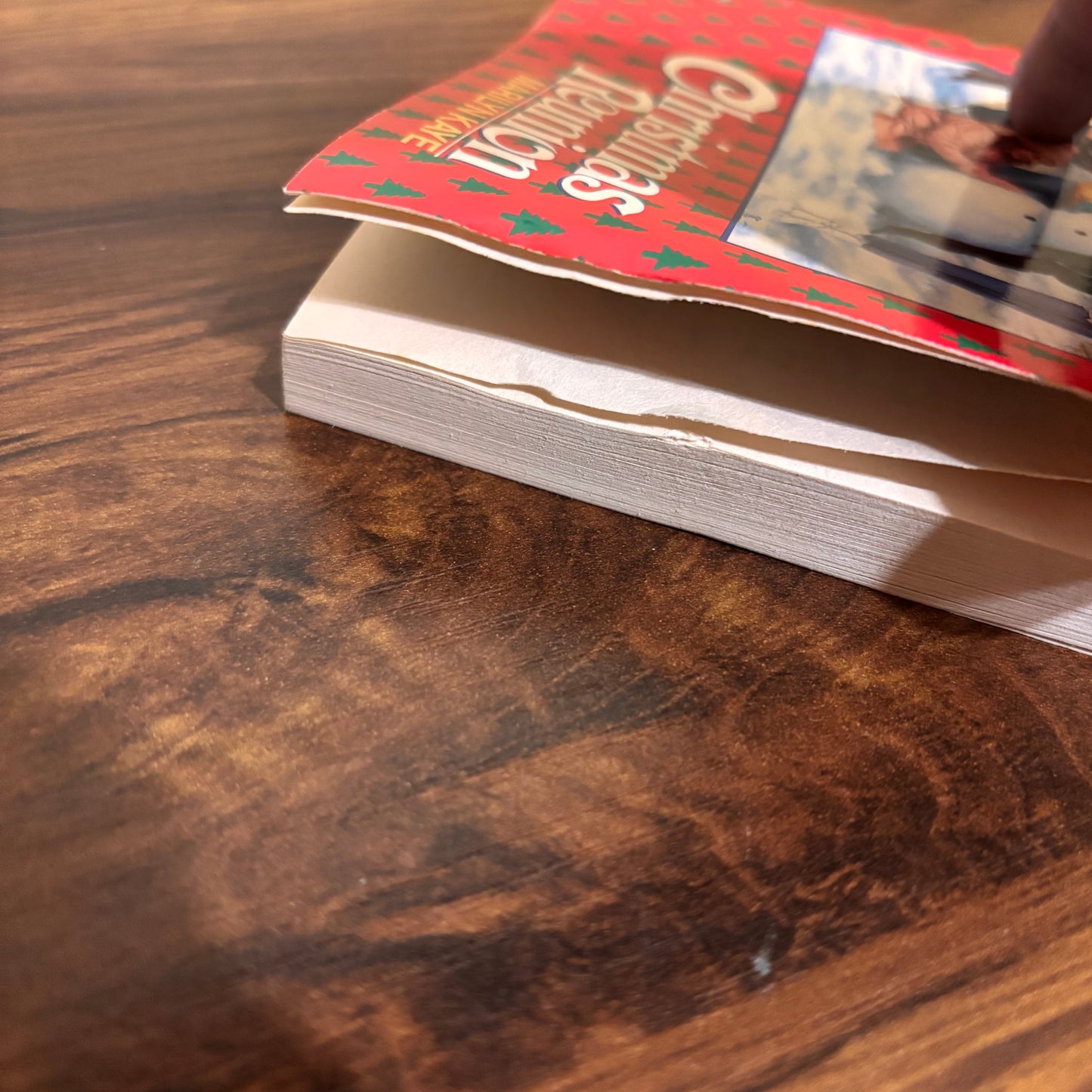 Camp Sunnyside Friends Special Christmas Reunion Marilyn Kaye 1990 Avon Camelot Paperback