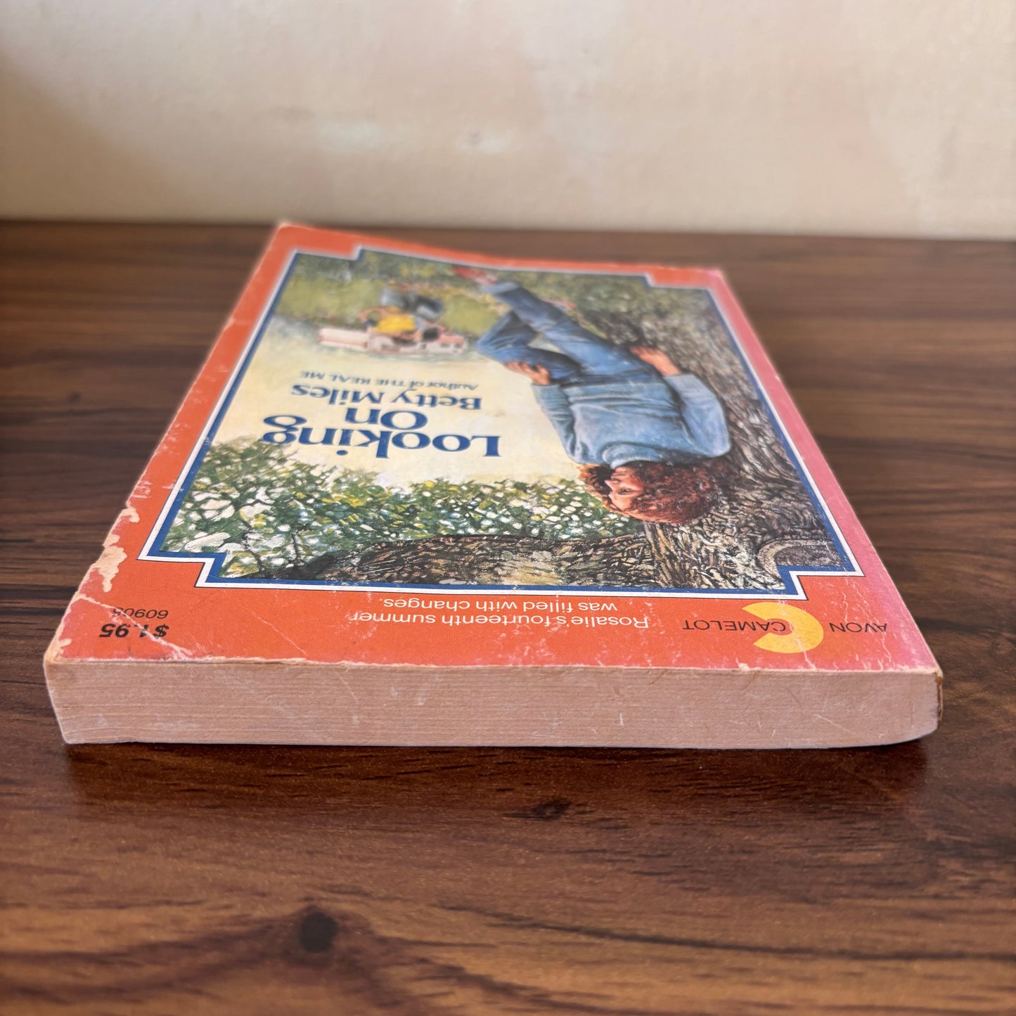 Looking On - Betty Miles - 1979 Avon Camelot Paperback