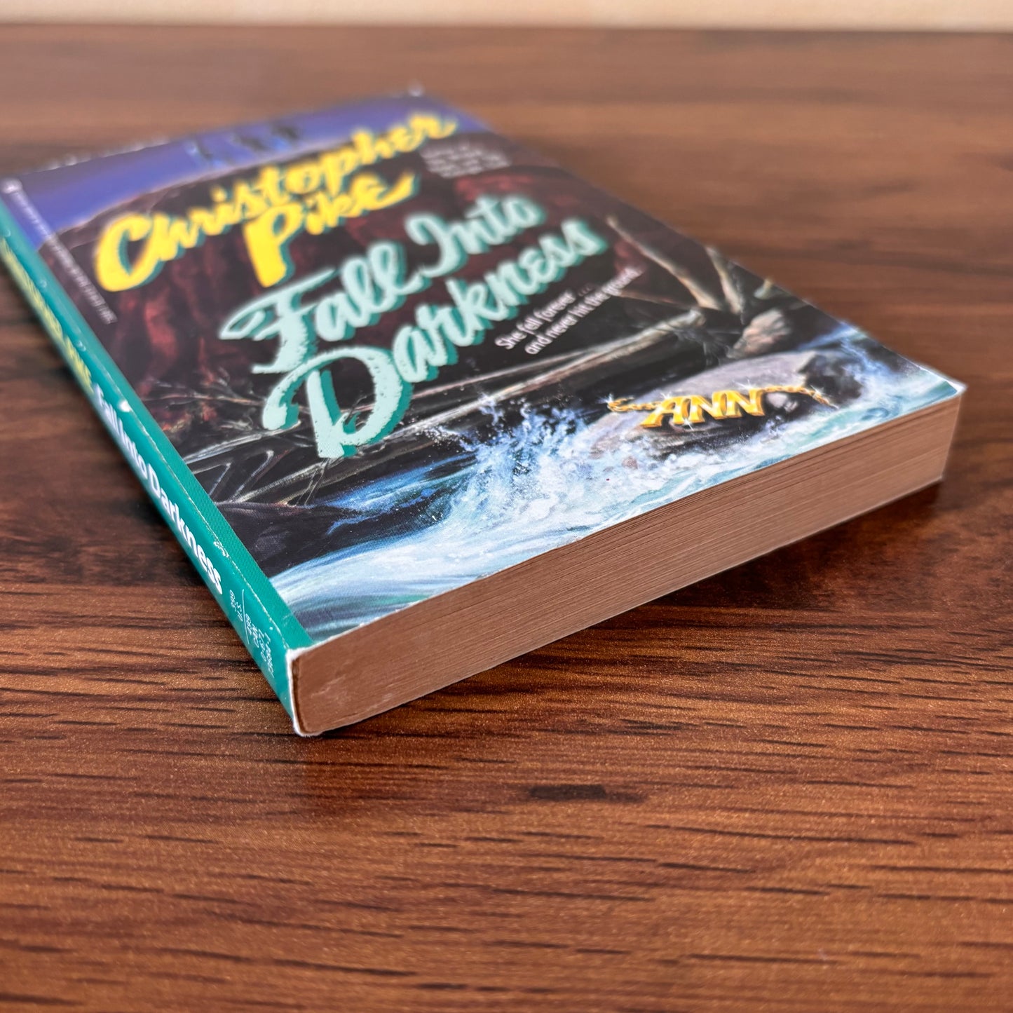 Fall Into Darkness by Christopher Pike - 1990 YA Horror Paperback