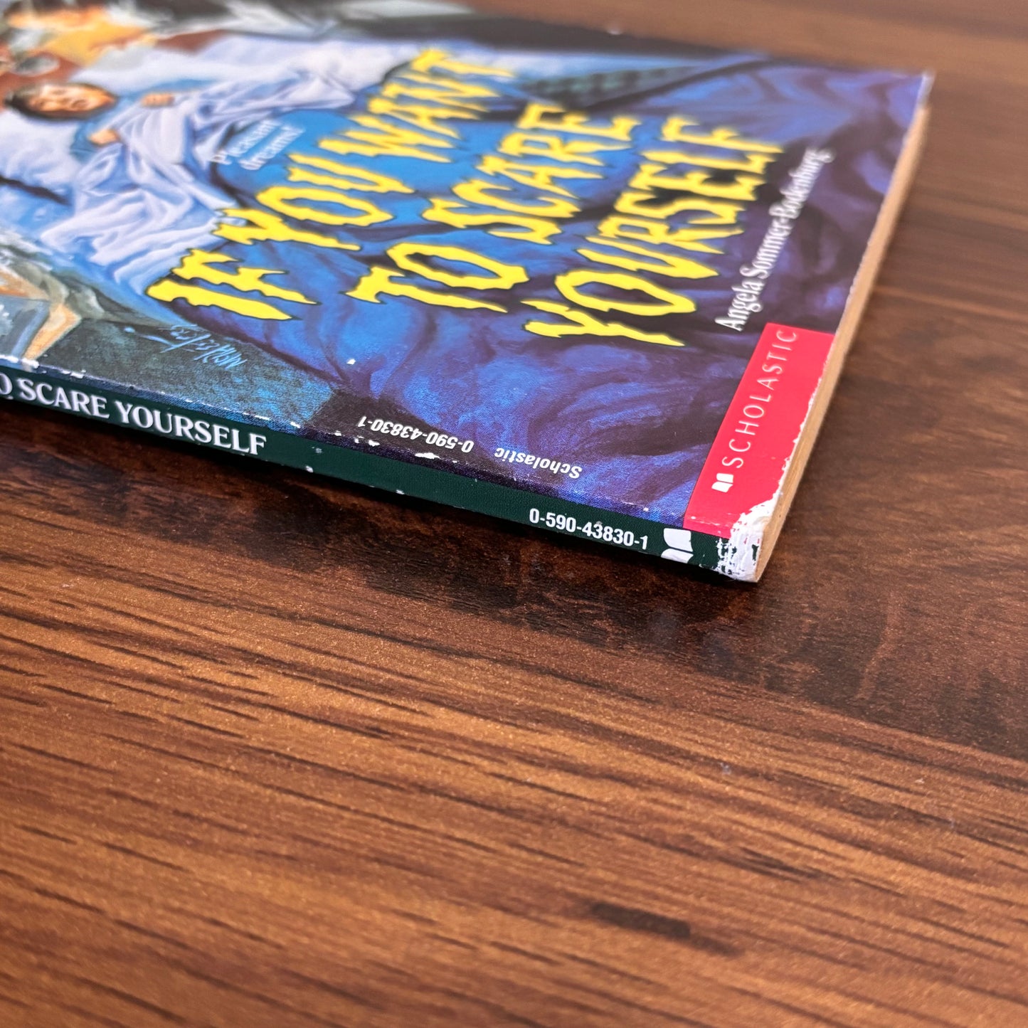 If You Want to Scare Yourself by Angela Sommer-Bodenburg (1990 Scholastic)