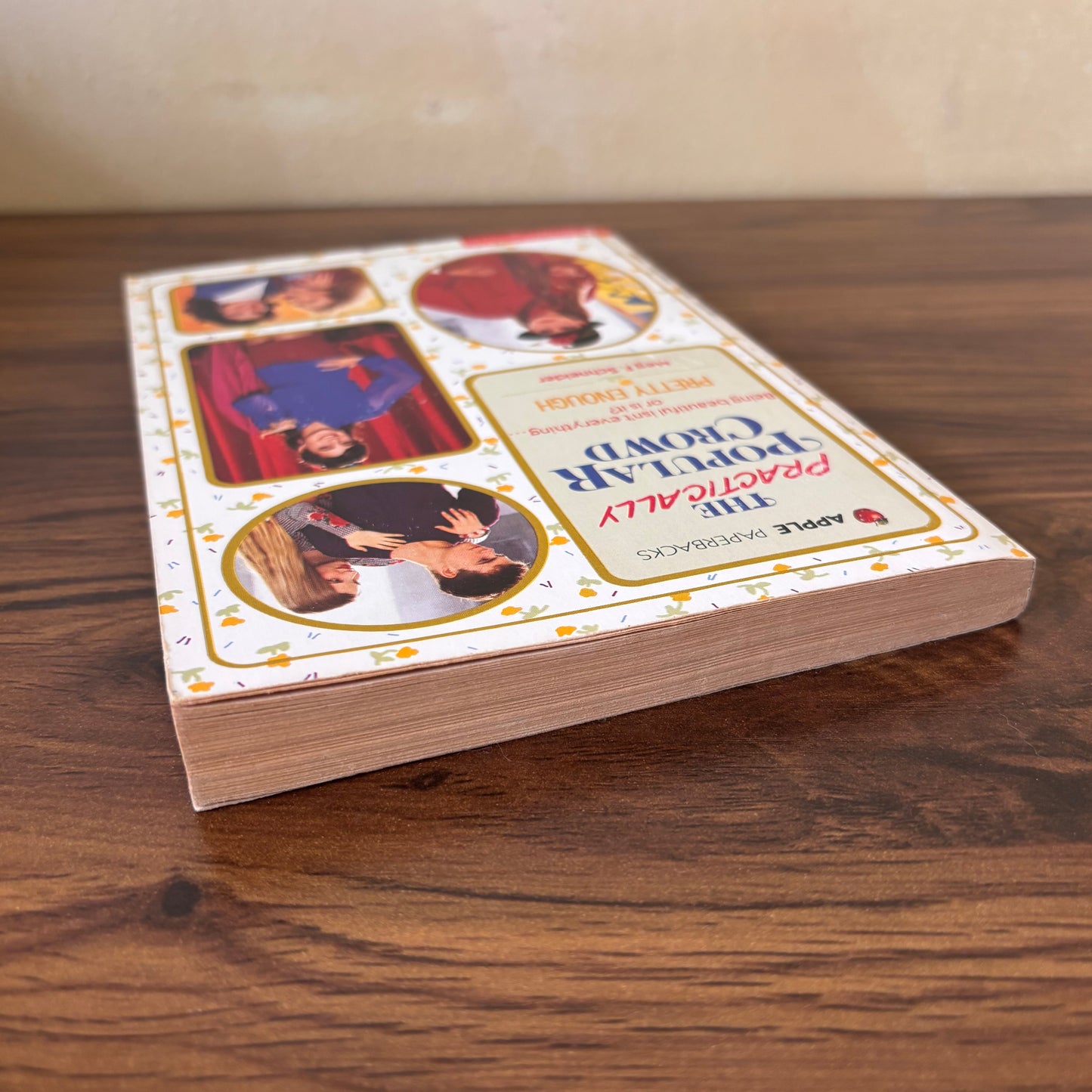 The Practically Popular Crowd: Pretty Enough - Meg F. Schneider 1992 Scholastic