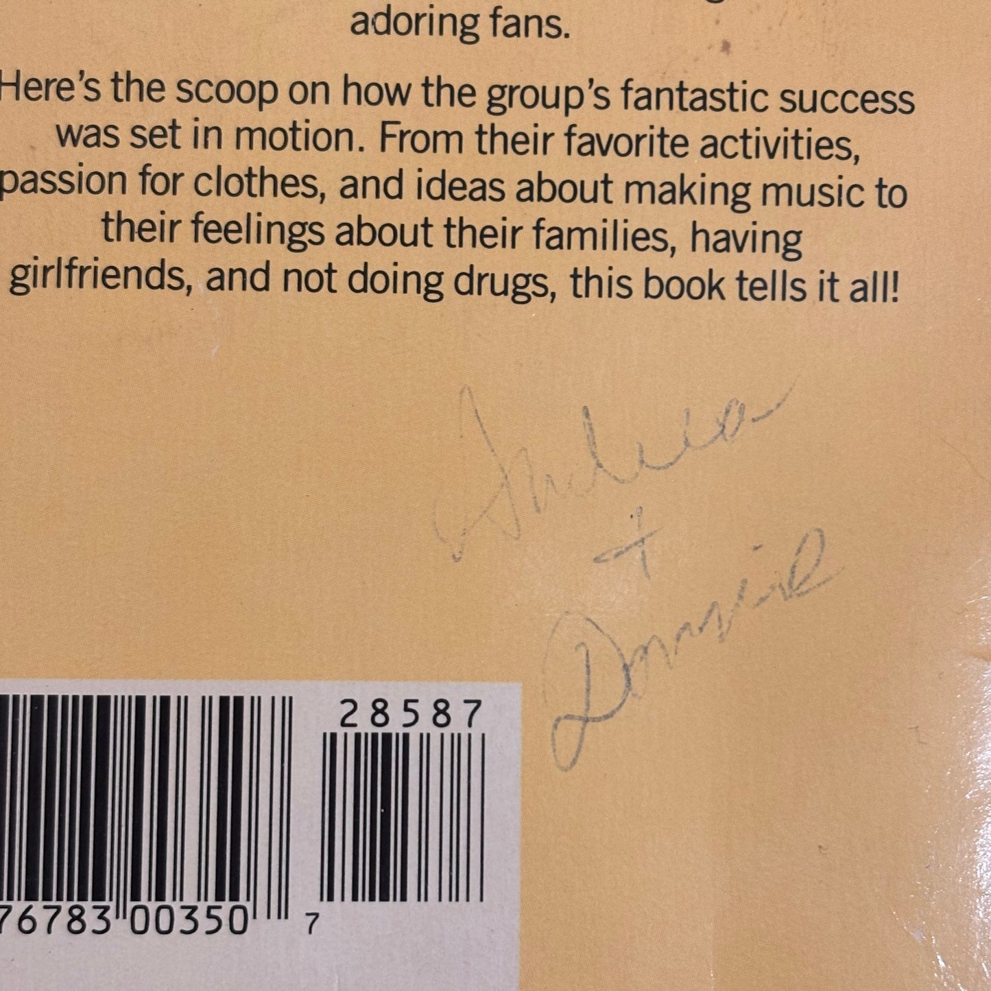 New Kids on the Block by Grace Catalano (1989) Bantam YA Biography Paperback