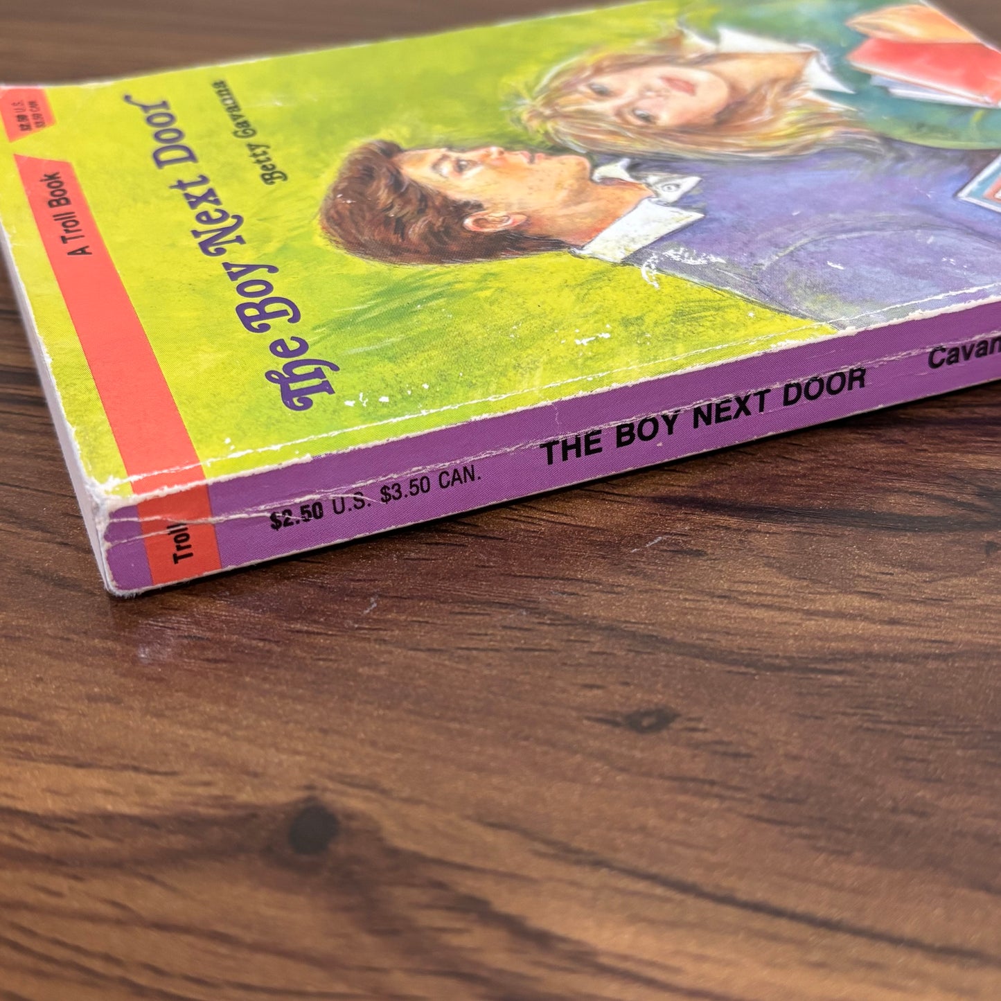 The Boy Next Door Betty Cavanna 1988 Troll Vintage YA Paperback