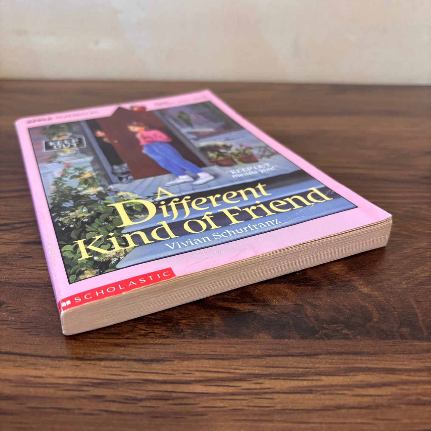 A Different Kind of Friend by Vivian Schurfranz (1990 Apple Paperback – Scholastic)