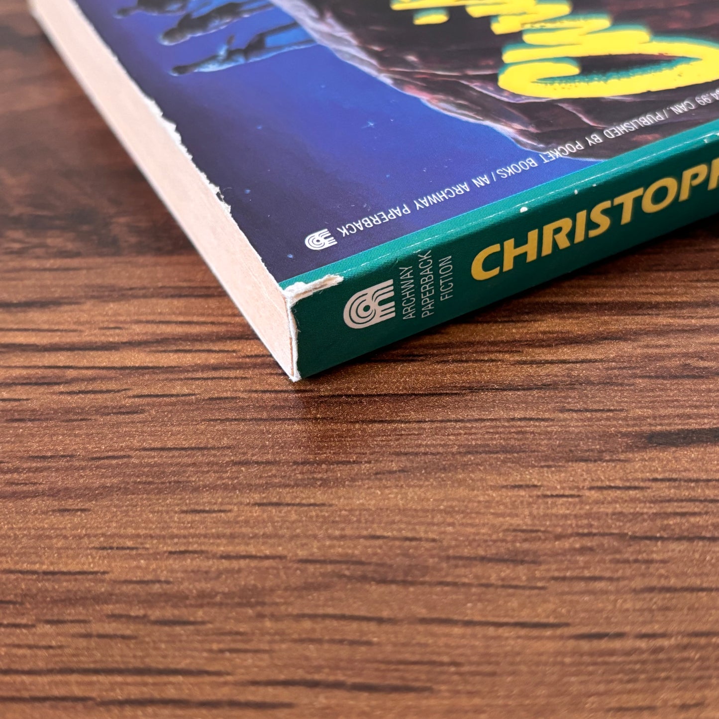Fall Into Darkness by Christopher Pike - 1990 YA Horror Paperback