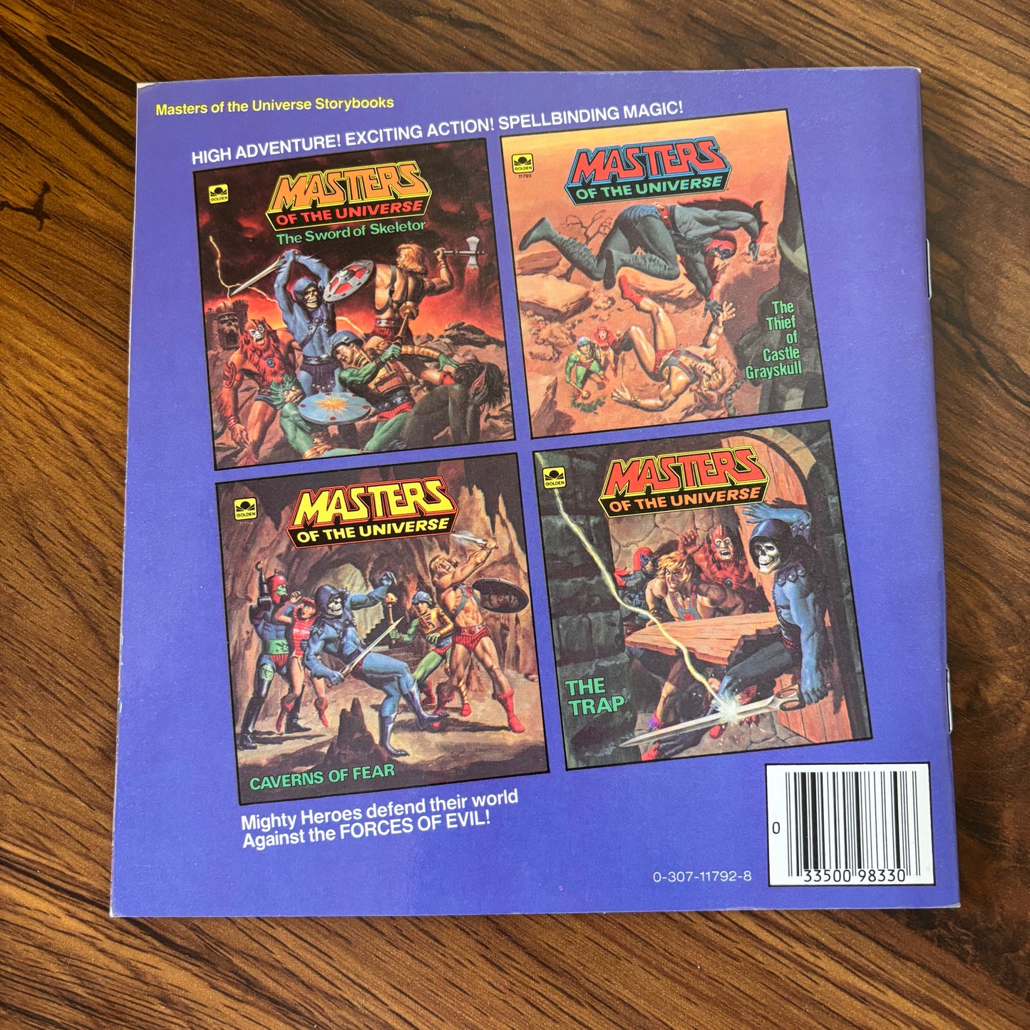 Masters of the Universe: The Sword of Skeletor (1983) | Masters of the Universe Storybook by Roger McKenzie, Fred Carillo