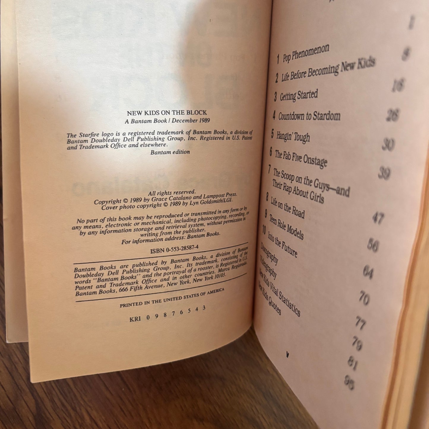 New Kids on the Block by Grace Catalano (1989) Bantam YA Biography Paperback