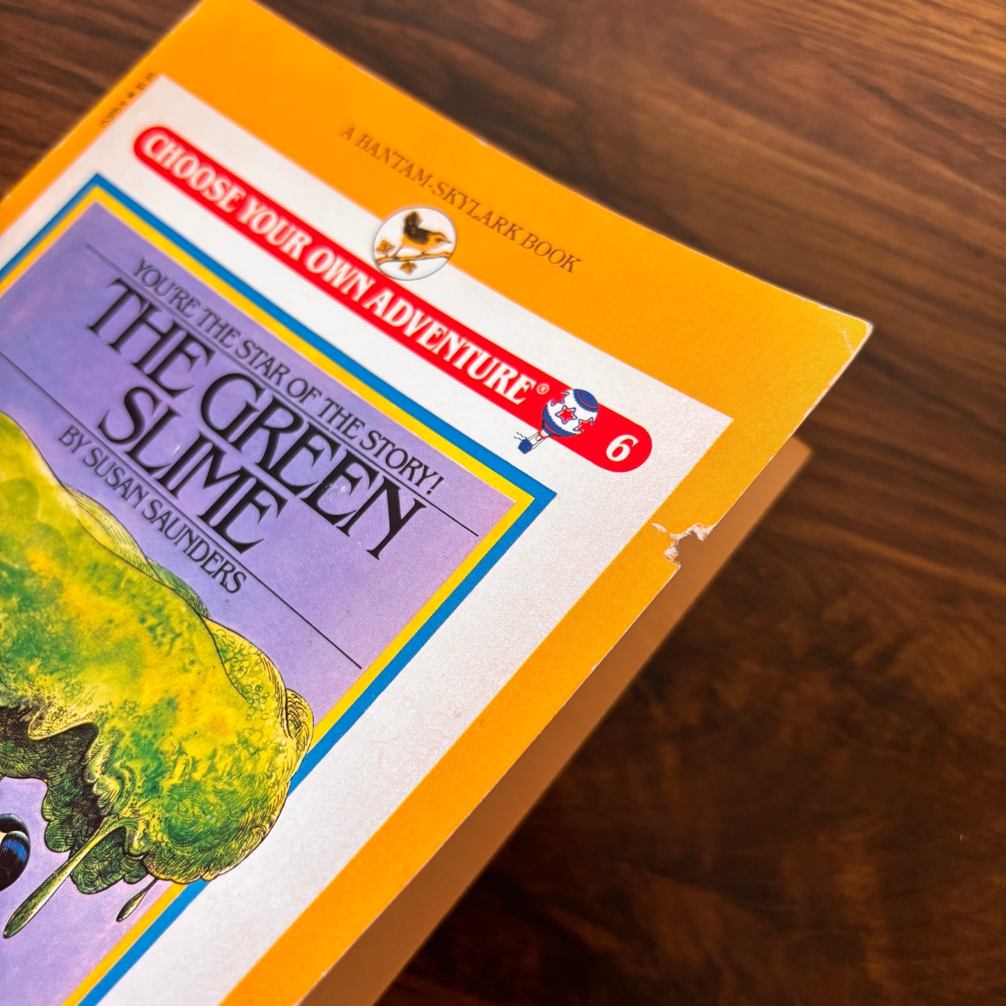 Choose Your Own Adventure #6: The Green Slime - 1982 Susan Saunders