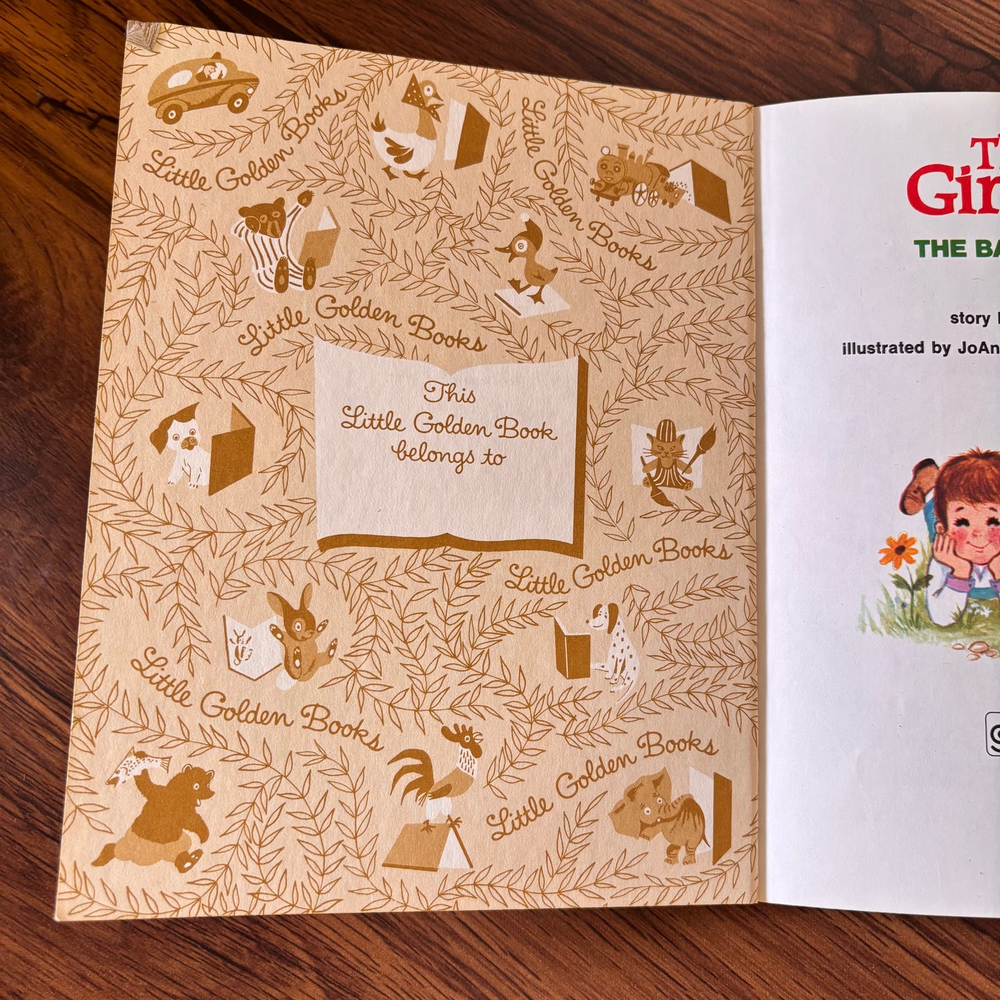 The Ginghams: The Backward Picnic by Joan Chase Bowden (1976) | Little Golden Book