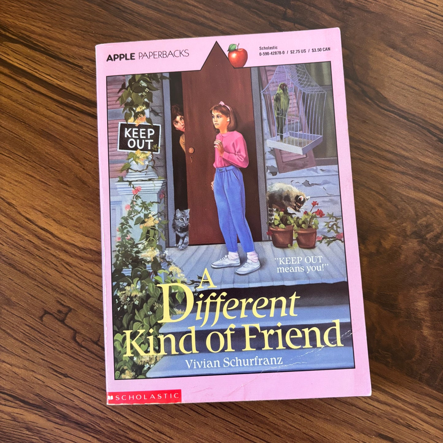 A Different Kind of Friend by Vivian Schurfranz - 1990 Scholastic paperback edition, a heartfelt story about friendship, acceptance, and understanding differences among teens.