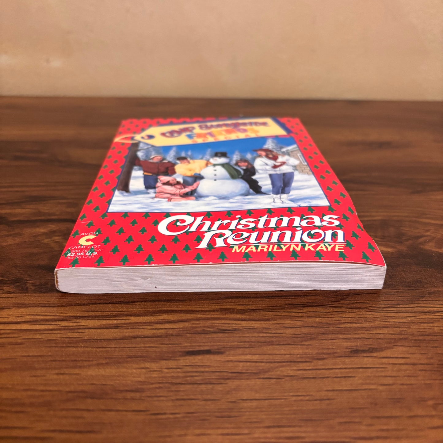 Camp Sunnyside Friends vintage Christmas paperback collectible with original seasonal cover art, ideal for fans of nostalgic holiday books and retro kids fiction.