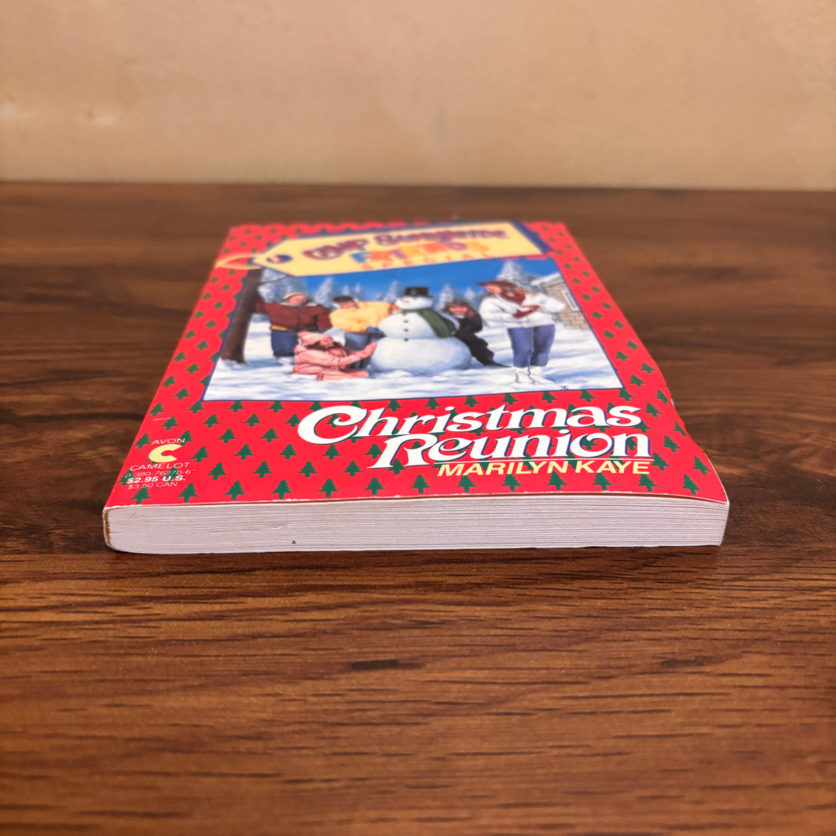 Camp Sunnyside Friends vintage Christmas paperback collectible with original seasonal cover art, ideal for fans of nostalgic holiday books and retro kids fiction.
