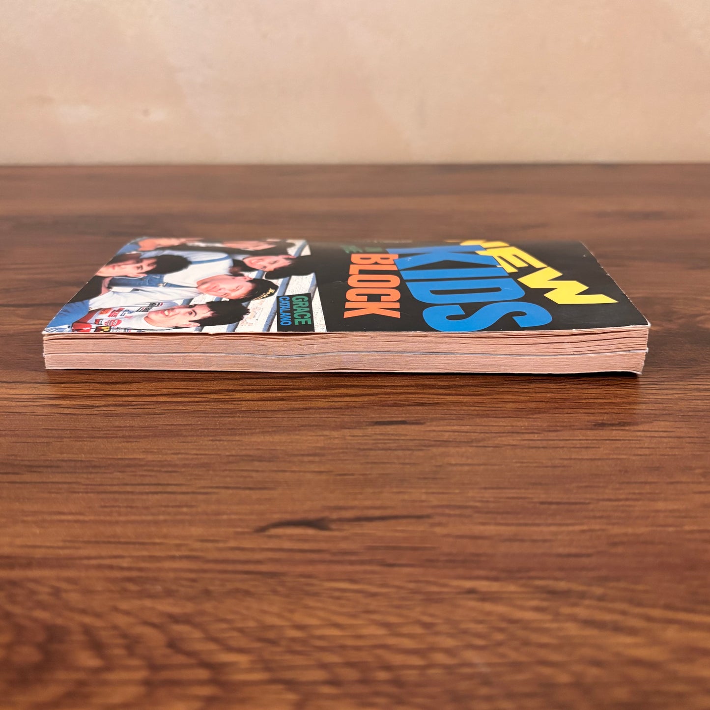 Grace Catalano New Kids on the Block vintage paperback book with bold original cover design, a nostalgic 90s boy band book for NKOTB fans and vintage music collectors.