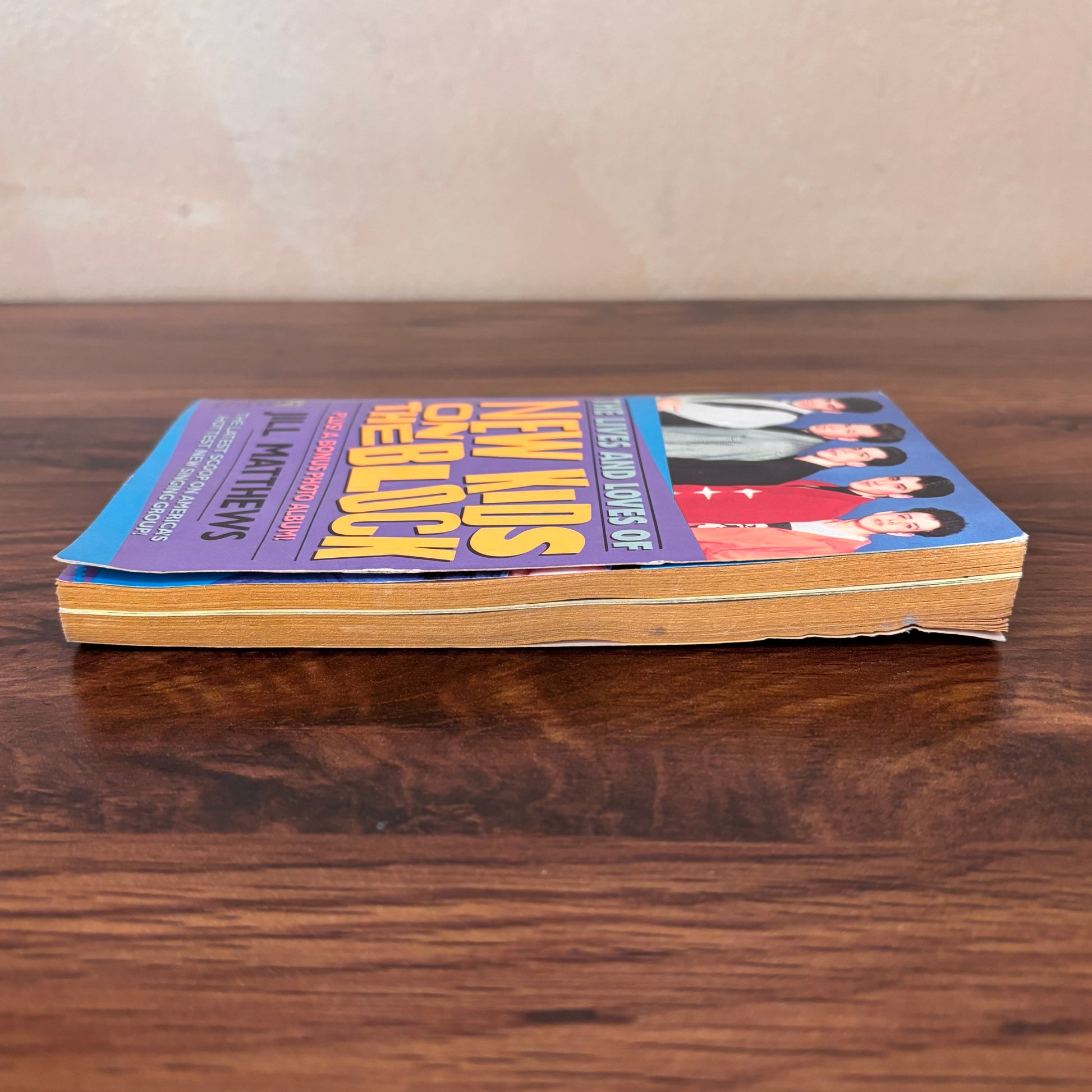 Jill Matthews New Kids on the Block vintage paperback book, The Lives and Loves, with original cover photo and bonus photo album for retro boy band collectors.