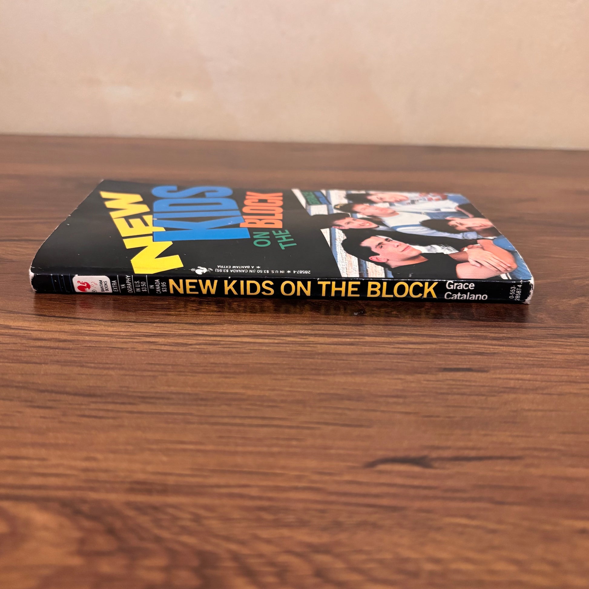 New Kids on the Block 90s music memorabilia paperback book by Grace Catalano, featuring the boy band on the cover and collectible retro pop culture appeal.