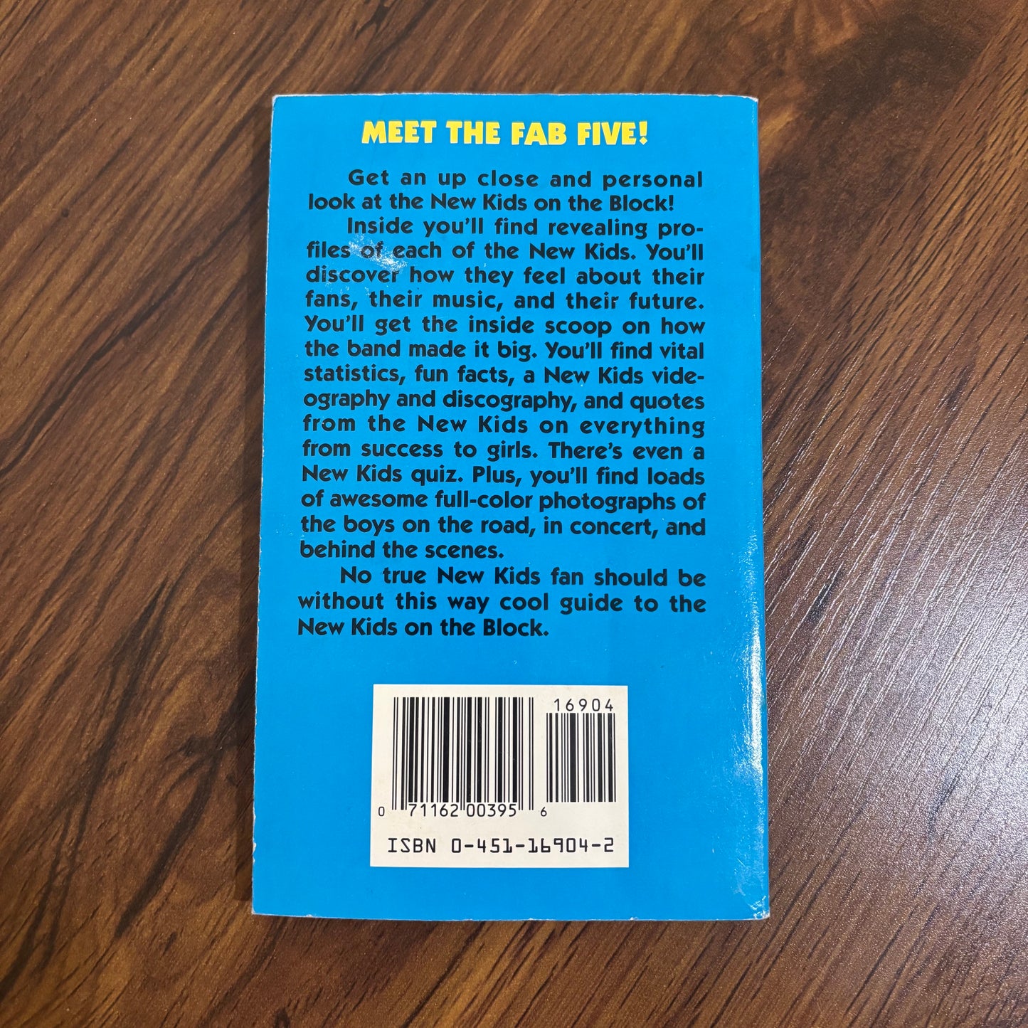 NKOTB Meet the New Kids on the Block fan guide paperback with band profiles, photos, and 90s pop music nostalgia for New Kids on the Block collectors.