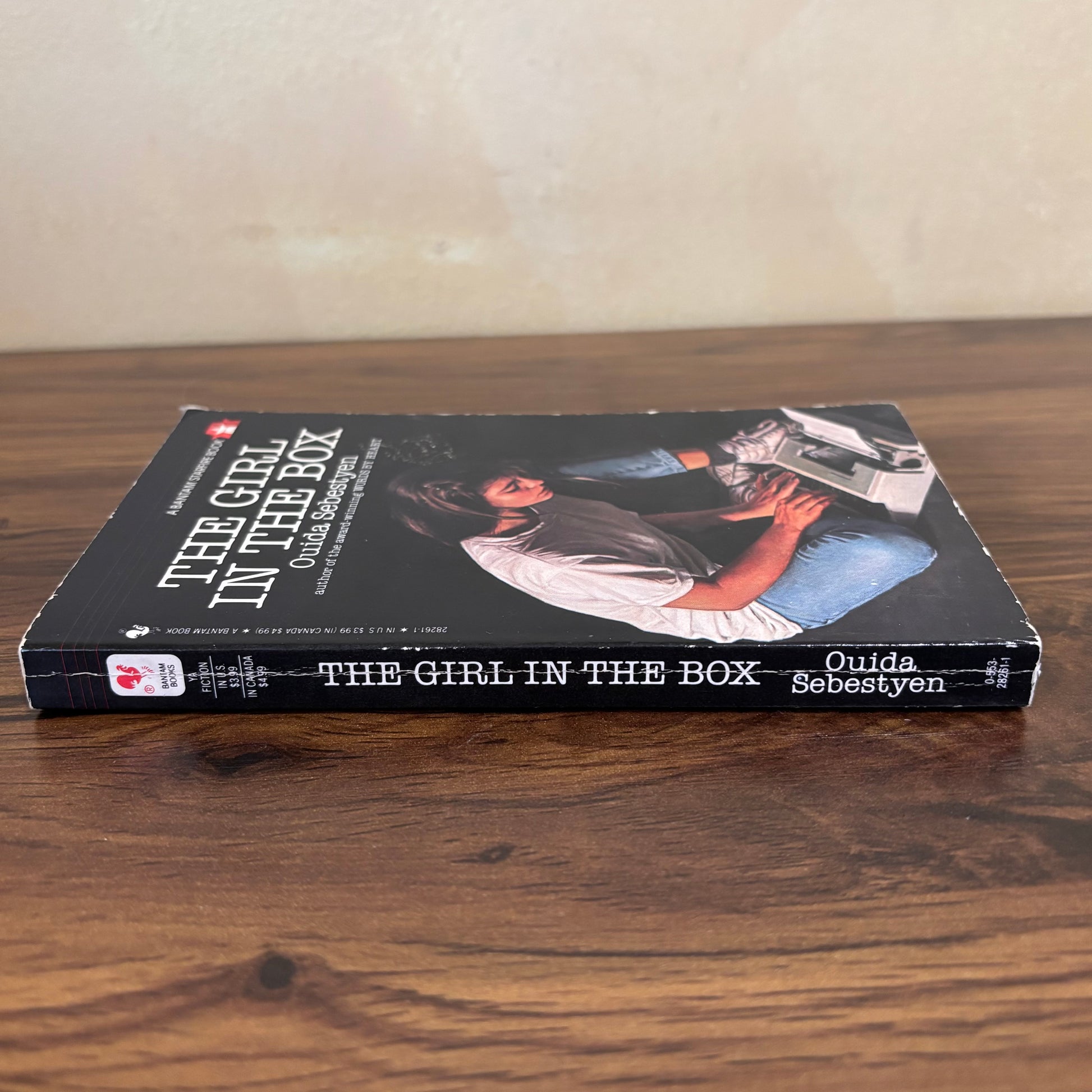 Ouida Sebestyen The Girl in the Box teen fiction book, a powerful 1980s paperback about isolation, courage, kidnapping, and one girl’s attempt to stay strong while trapped.