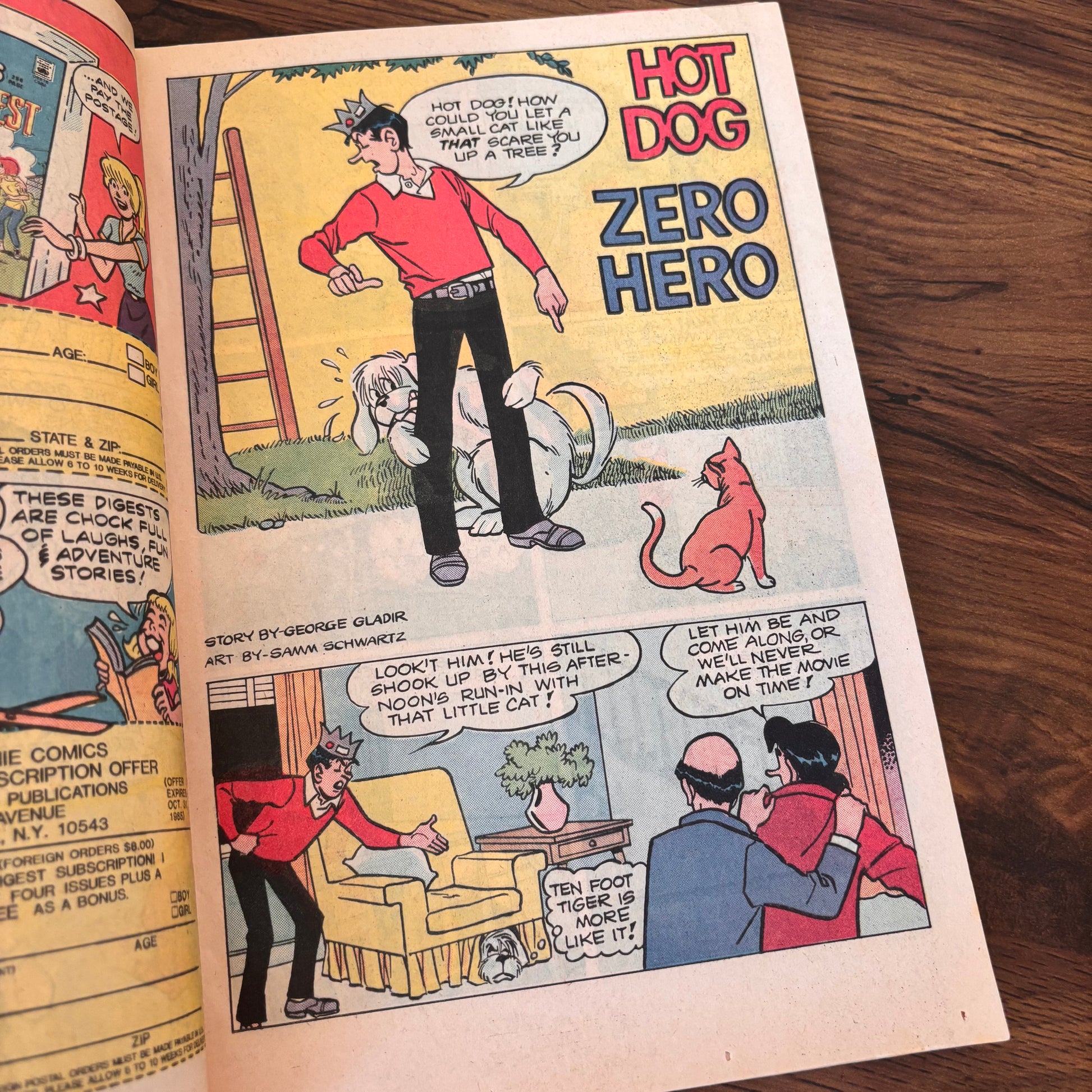 Vintage Jughead comic book with a summer beach scene, featuring Archie characters by the water, classic gag cover artwork, and nostalgic old comic book collector appeal.