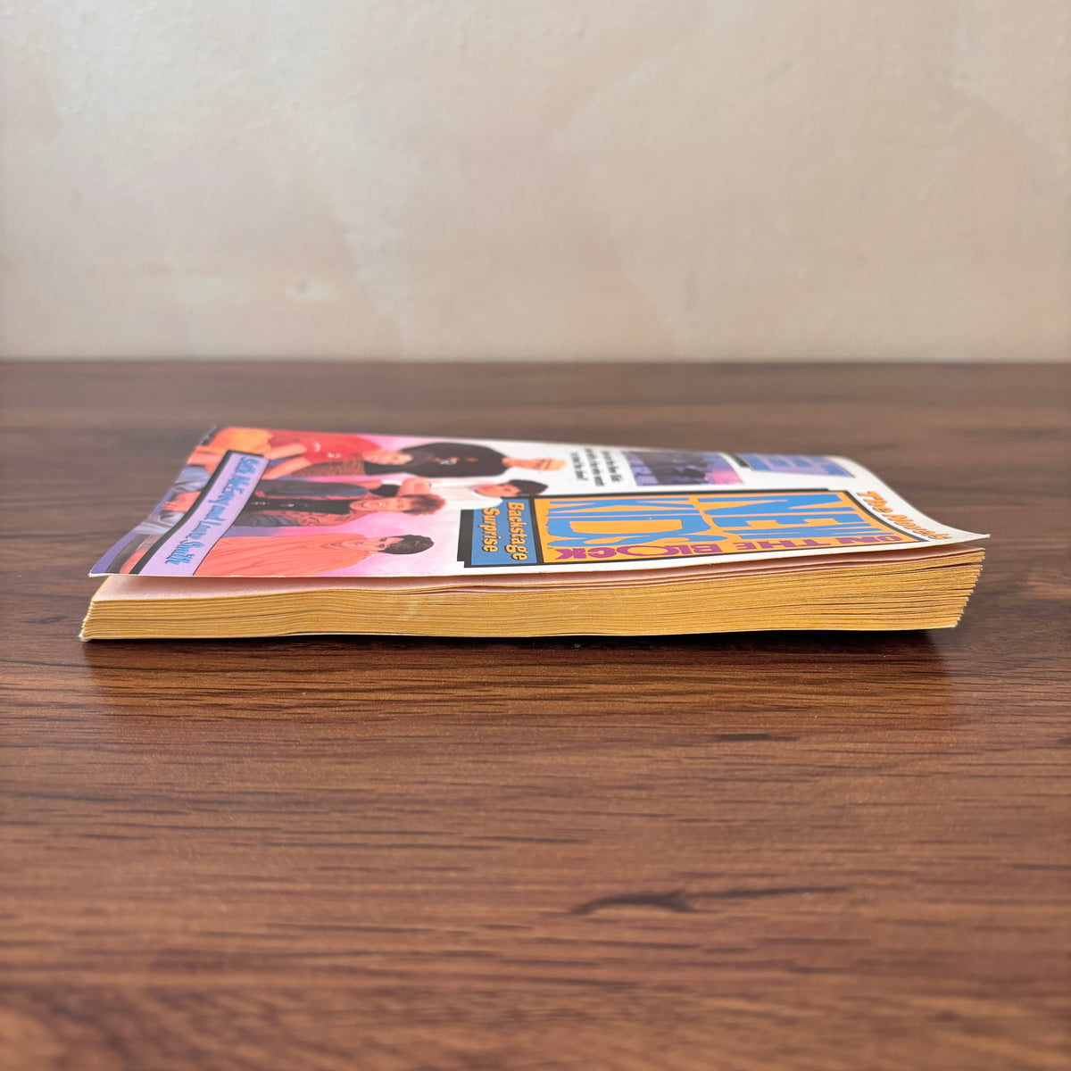 Vintage pop culture book featuring New Kids on the Block, a nostalgic NKOTB paperback teen novel collectible with bright 90s boy band cover artwork.
