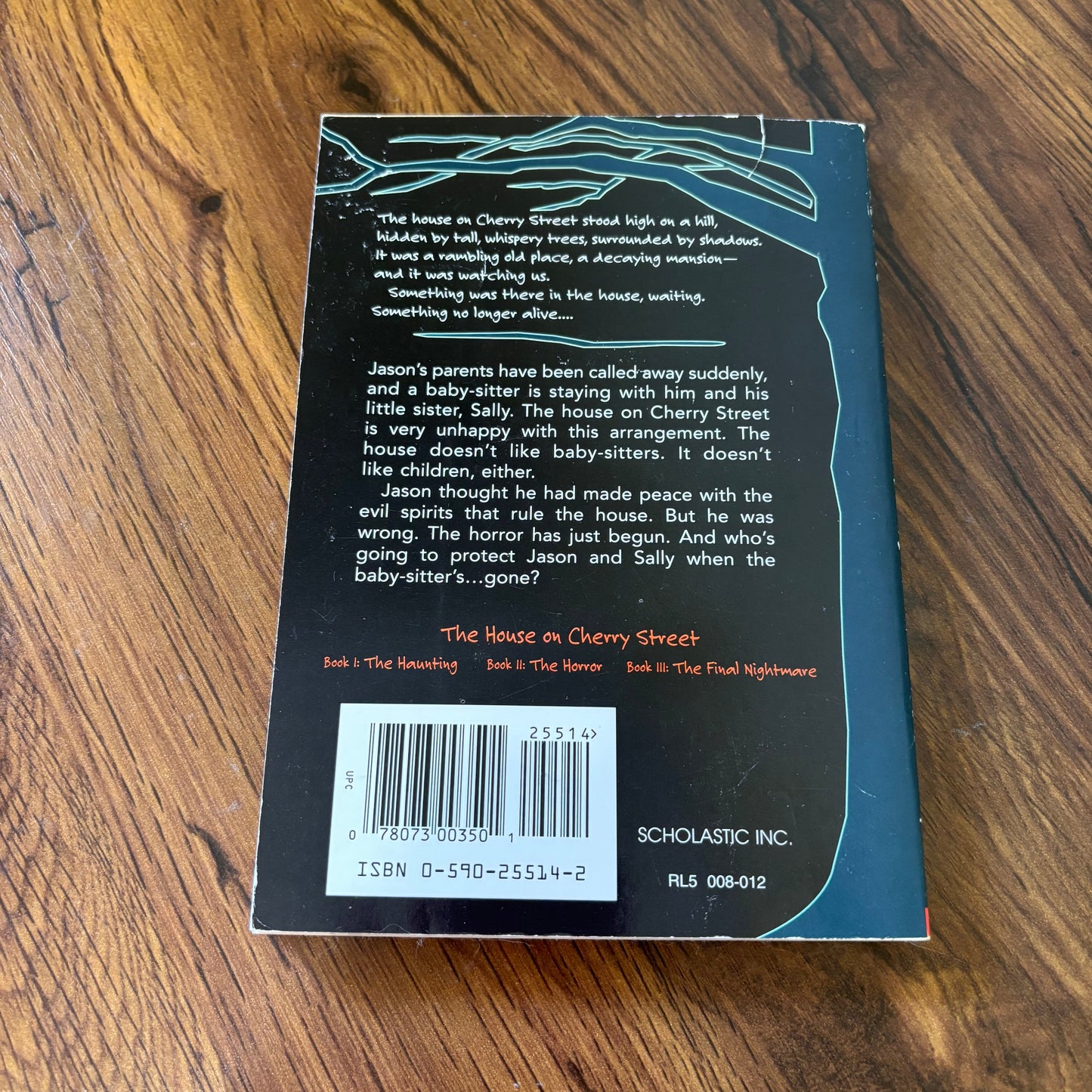 Vintage Scholastic haunted house horror paperback featuring The House on Cherry Street Book II, a spooky children’s thriller for fans of old scary books and retro 90s reading.
